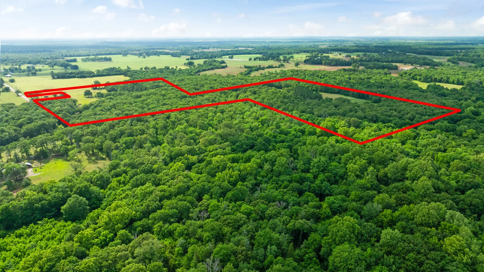 Unimproved Land For Sale in Lamar County , 958 County Road 37000, Sumner, Texas 75486, 0, 0, Garage spaces, 0 Sqft, built in 0, Price $309,900, mls#21281176, Real Estate Agent in Sumner, Homes For Sale in Lamar county, Homes For Sale in Sumner, Realtor in Sumner Texas, Real Estate Brokerage Independent Realty Texas, Luminita Cordes Realtor