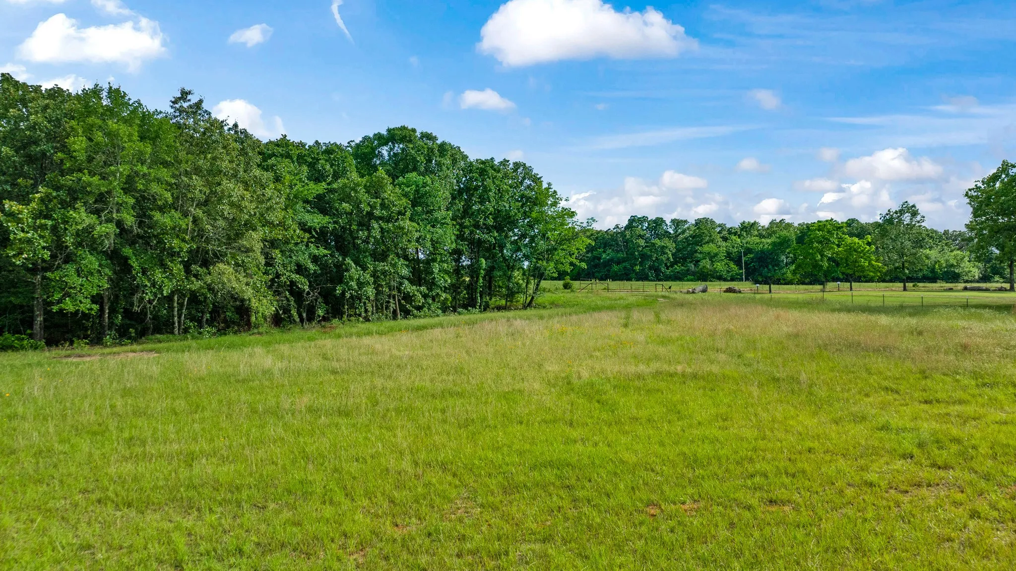 Unimproved Land For Sale in Lamar County , 958 County Road 37000, Sumner, Texas 75486, 0, 0, Garage spaces, 0 Sqft, built in 0, Price $309,900, mls#21281176, Real Estate Agent in Sumner, Homes For Sale in Lamar county, Homes For Sale in Sumner, Realtor in Sumner Texas, Real Estate Brokerage Independent Realty Texas, Luminita Cordes Realtor