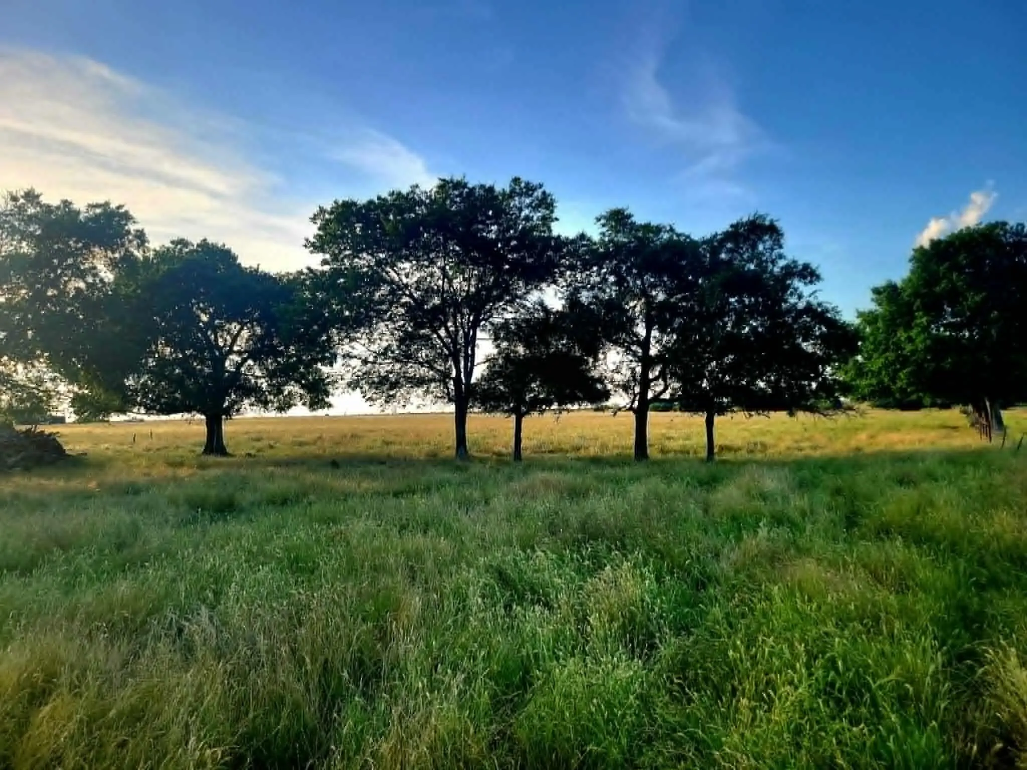 front pasture