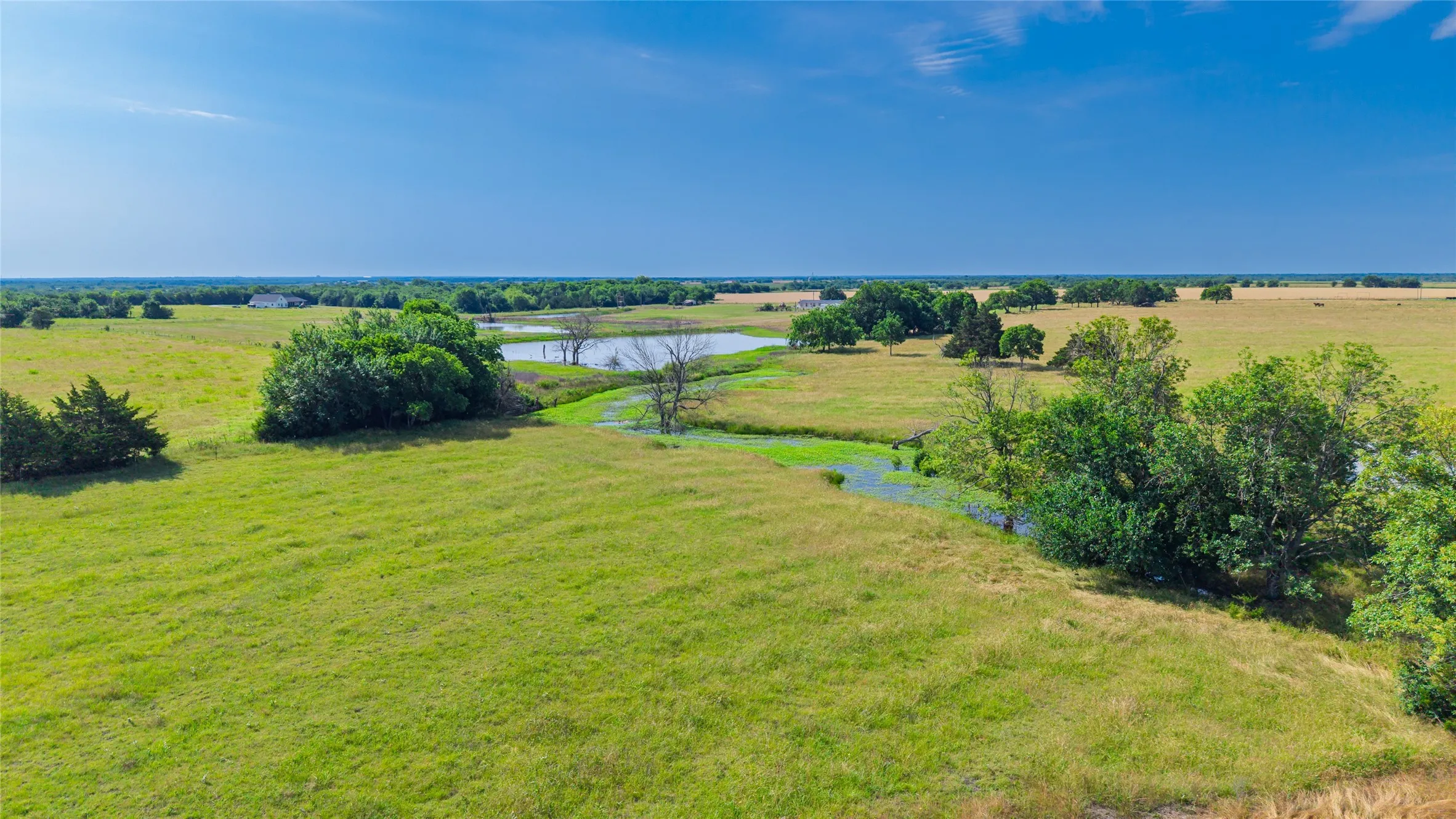 Unimproved Land For Sale in Hunt County , TBD County Road 4720, Wolfe City, Texas 75496, 0, 0, Garage spaces, 0 Sqft, built in 0, Price $389,000, mls#21281218, Real Estate Agent in Wolfe City, Homes For Sale in Hunt county, Homes For Sale in Wolfe City, Realtor in Wolfe City Texas, Real Estate Brokerage Independent Realty Texas, Luminita Cordes Realtor
