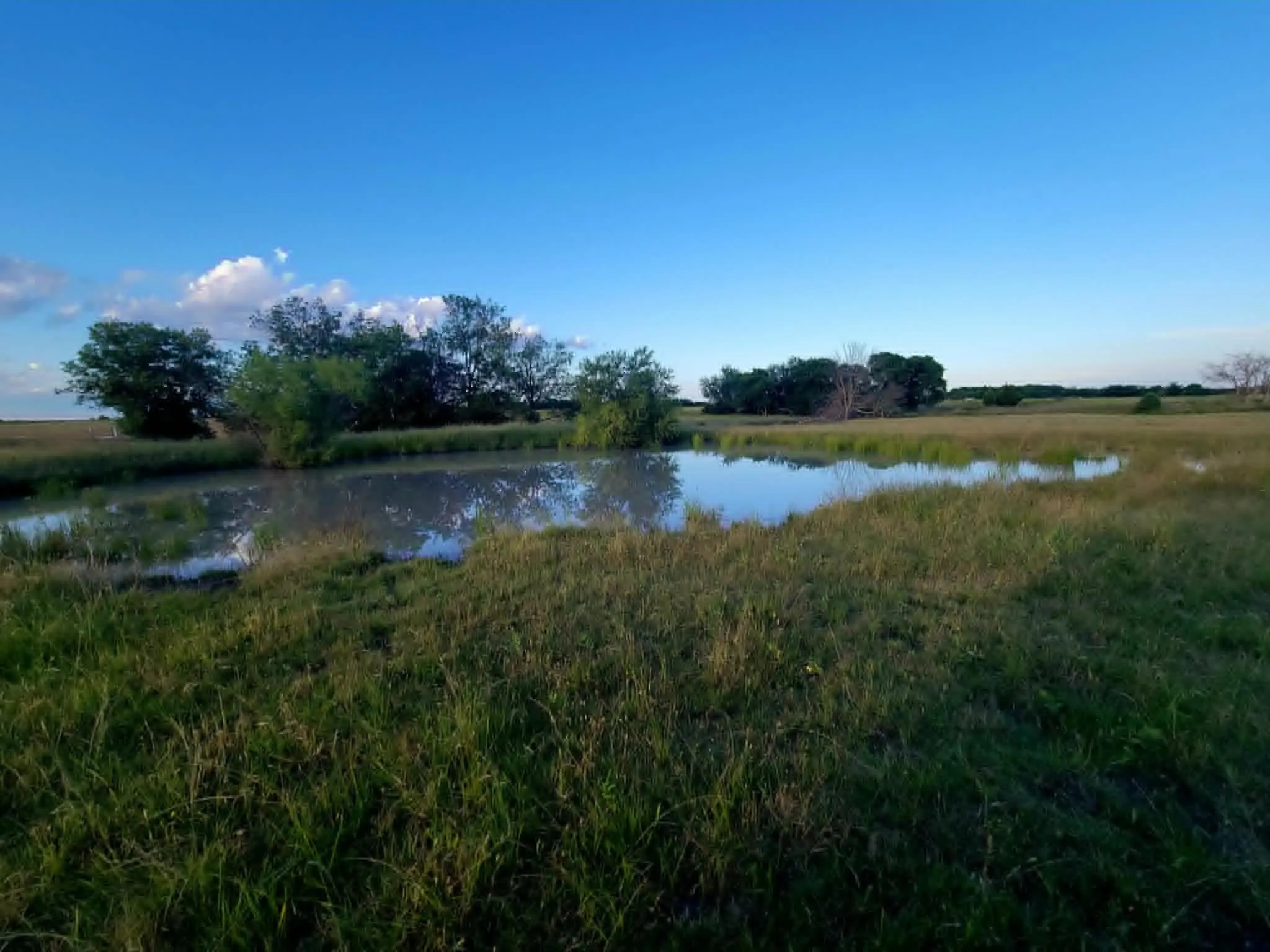 pond
