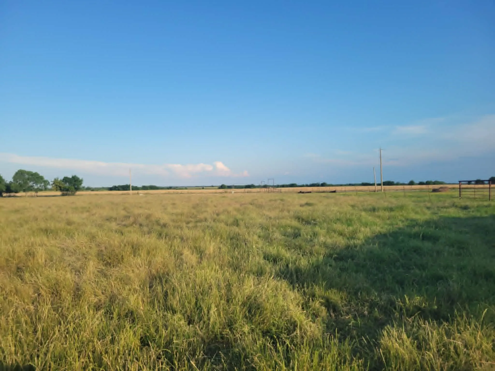 Unimproved Land For Sale in Hunt County , TBD County Road 4720, Wolfe City, Texas 75496, 0, 0, Garage spaces, 0 Sqft, built in 0, Price $389,000, mls#21281218, Real Estate Agent in Wolfe City, Homes For Sale in Hunt county, Homes For Sale in Wolfe City, Realtor in Wolfe City Texas, Real Estate Brokerage Independent Realty Texas, Luminita Cordes Realtor