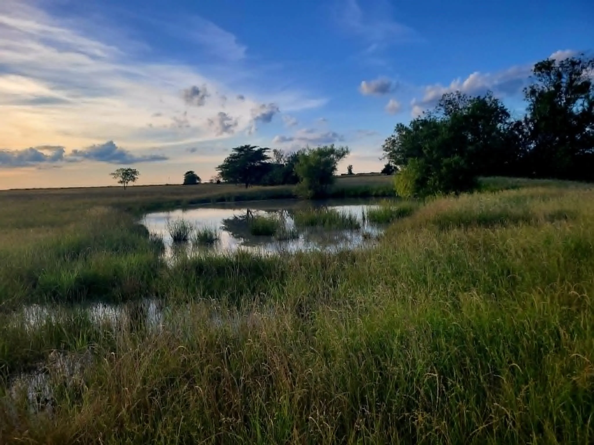 pond