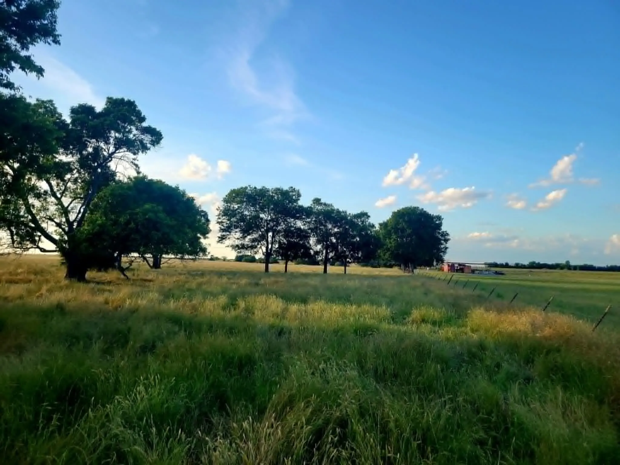Unimproved Land For Sale in Hunt County , TBD County Road 4720, Wolfe City, Texas 75496, 0, 0, Garage spaces, 0 Sqft, built in 0, Price $389,000, mls#21281218, Real Estate Agent in Wolfe City, Homes For Sale in Hunt county, Homes For Sale in Wolfe City, Realtor in Wolfe City Texas, Real Estate Brokerage Independent Realty Texas, Luminita Cordes Realtor