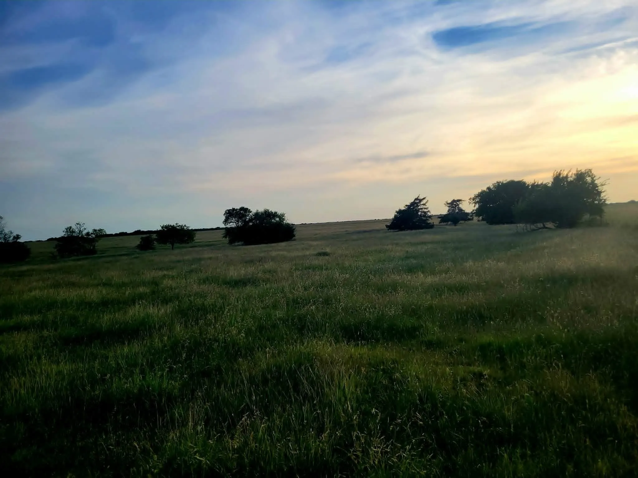 Unimproved Land For Sale in Hunt County , TBD County Road 4720, Wolfe City, Texas 75496, 0, 0, Garage spaces, 0 Sqft, built in 0, Price $389,000, mls#21281218, Real Estate Agent in Wolfe City, Homes For Sale in Hunt county, Homes For Sale in Wolfe City, Realtor in Wolfe City Texas, Real Estate Brokerage Independent Realty Texas, Luminita Cordes Realtor