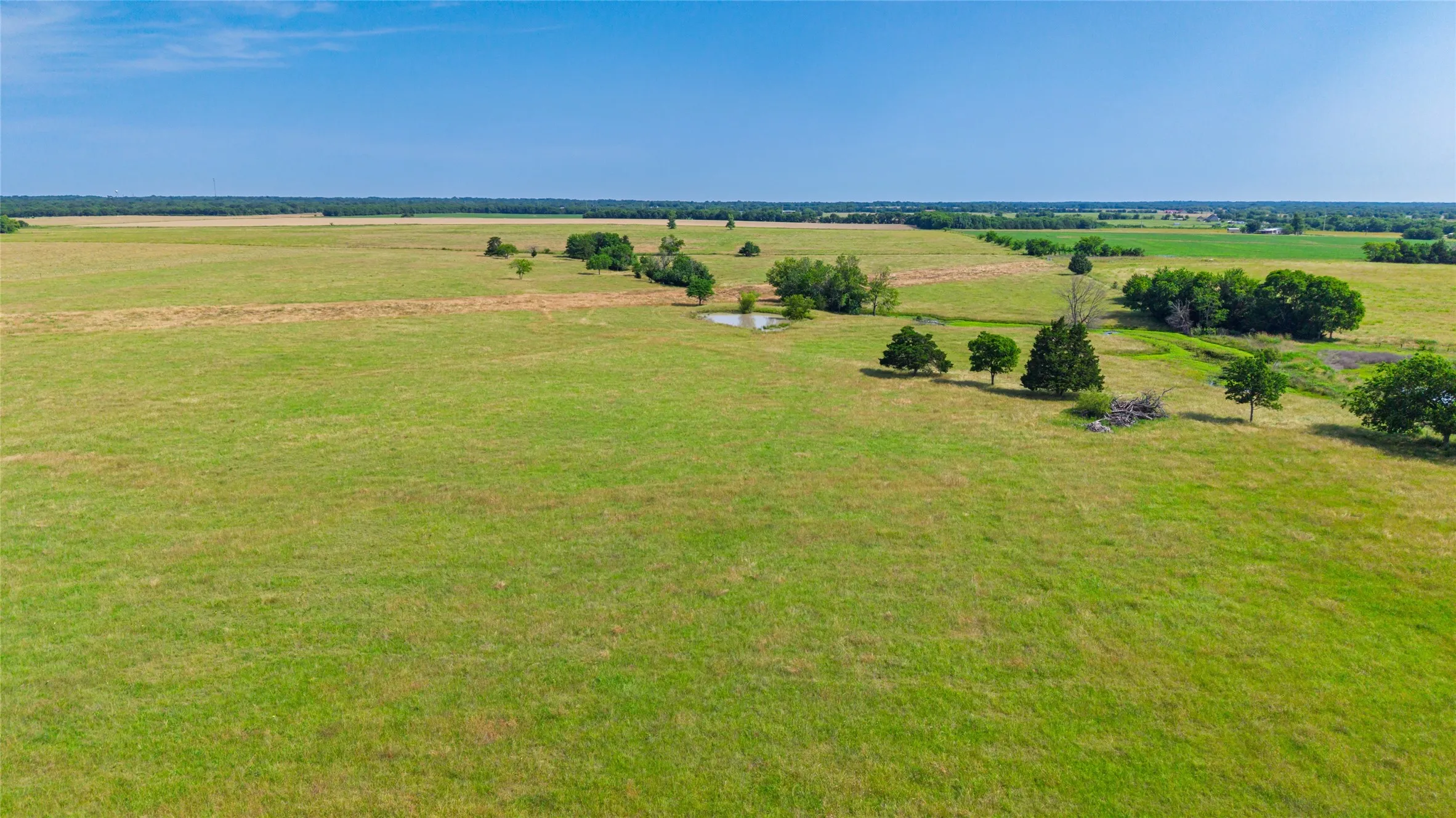 Unimproved Land For Sale in Hunt County , TBD County Road 4720, Wolfe City, Texas 75496, 0, 0, Garage spaces, 0 Sqft, built in 0, Price $389,000, mls#21281218, Real Estate Agent in Wolfe City, Homes For Sale in Hunt county, Homes For Sale in Wolfe City, Realtor in Wolfe City Texas, Real Estate Brokerage Independent Realty Texas, Luminita Cordes Realtor