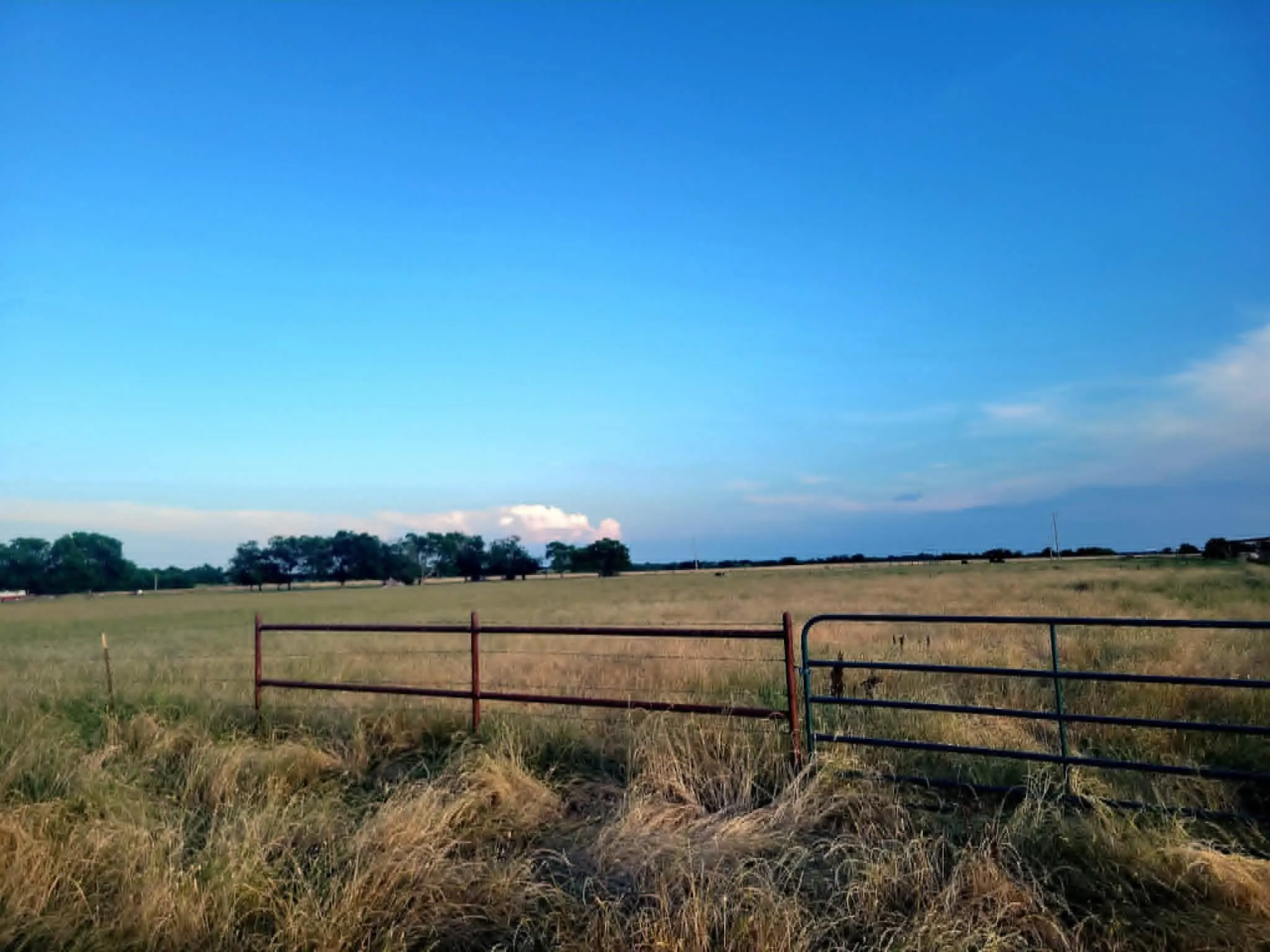 Unimproved Land For Sale in Hunt County , TBD County Road 4720, Wolfe City, Texas 75496, 0, 0, Garage spaces, 0 Sqft, built in 0, Price $389,000, mls#21281218, Real Estate Agent in Wolfe City, Homes For Sale in Hunt county, Homes For Sale in Wolfe City, Realtor in Wolfe City Texas, Real Estate Brokerage Independent Realty Texas, Luminita Cordes Realtor
