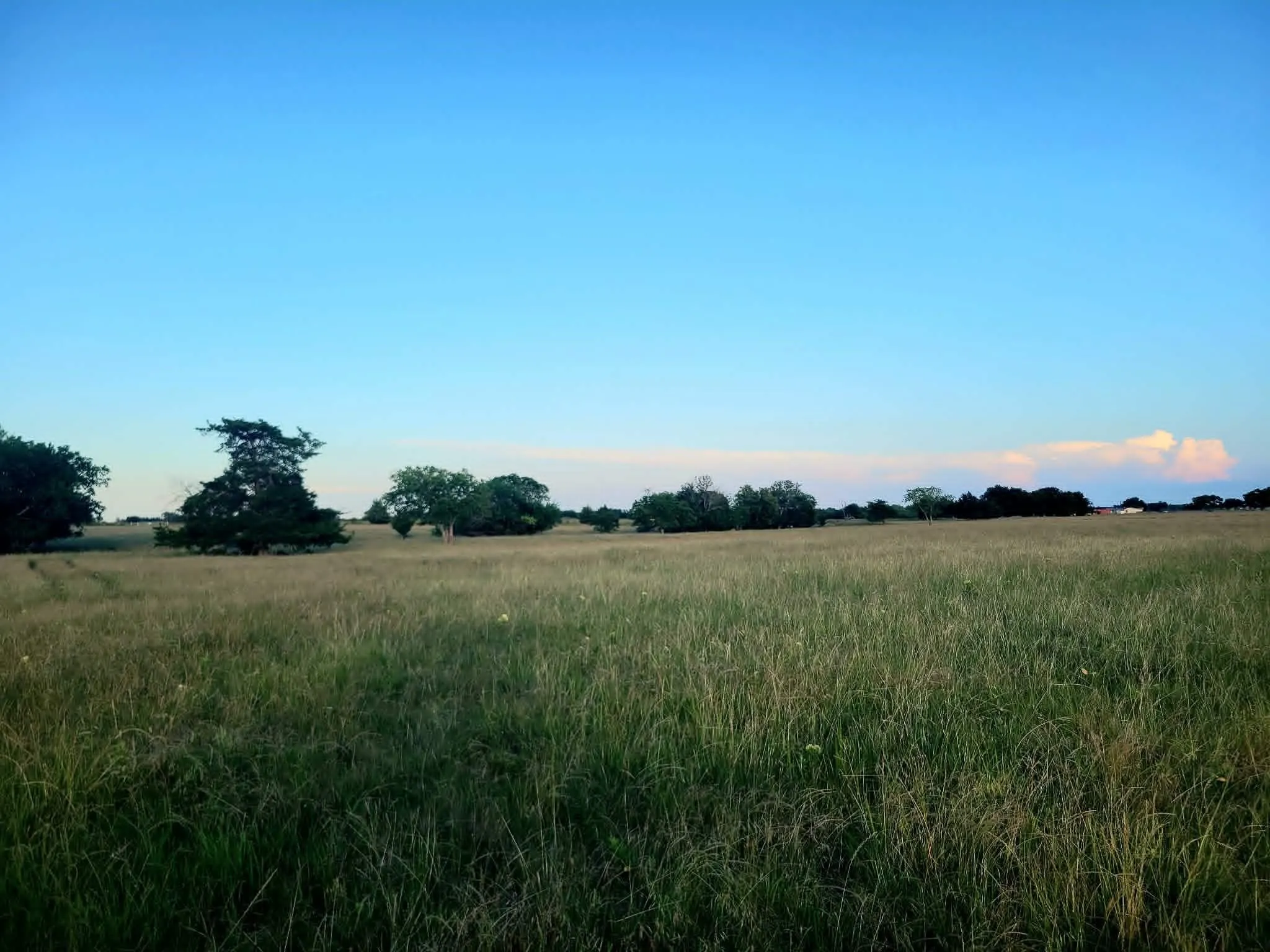 Unimproved Land For Sale in Hunt County , TBD County Road 4720, Wolfe City, Texas 75496, 0, 0, Garage spaces, 0 Sqft, built in 0, Price $389,000, mls#21281218, Real Estate Agent in Wolfe City, Homes For Sale in Hunt county, Homes For Sale in Wolfe City, Realtor in Wolfe City Texas, Real Estate Brokerage Independent Realty Texas, Luminita Cordes Realtor