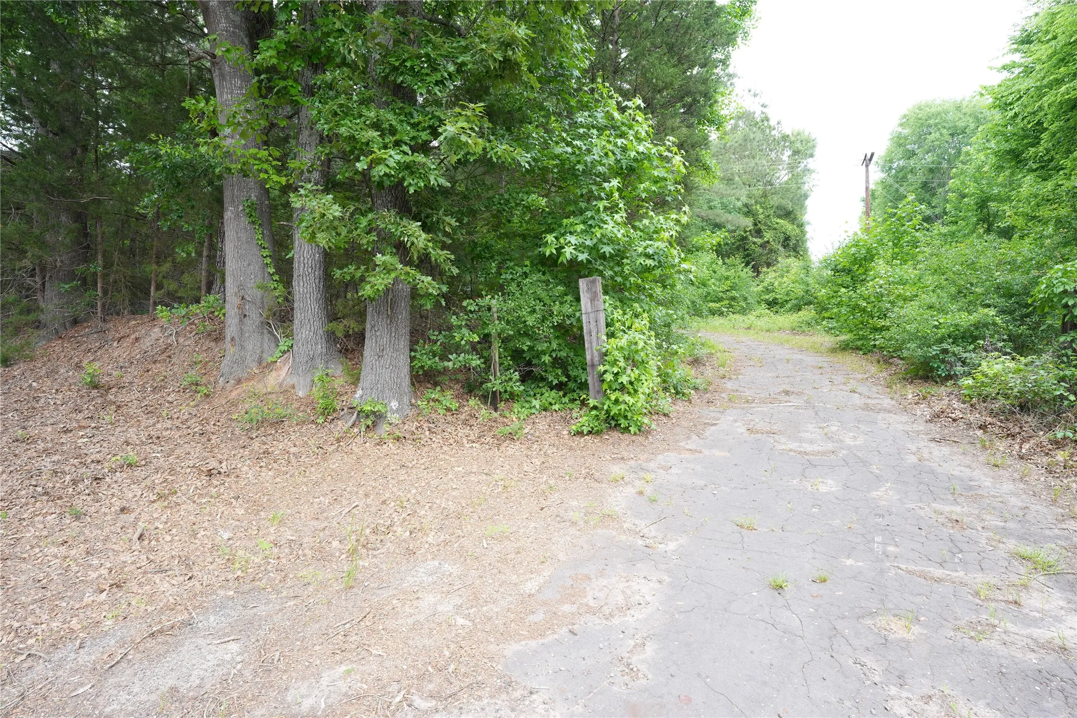 Improved Land For Sale in Wood County , 4754 Fm 1254, Mineola, Texas 75773, 0, 0, Garage spaces, 0 Sqft, built in 0, mls#21281384, Real Estate Agent in Mineola, Homes For Sale in Wood county, Homes For Sale in Mineola, Realtor in Mineola Texas, Real Estate Brokerage Independent Realty Texas, Luminita Cordes Realtor