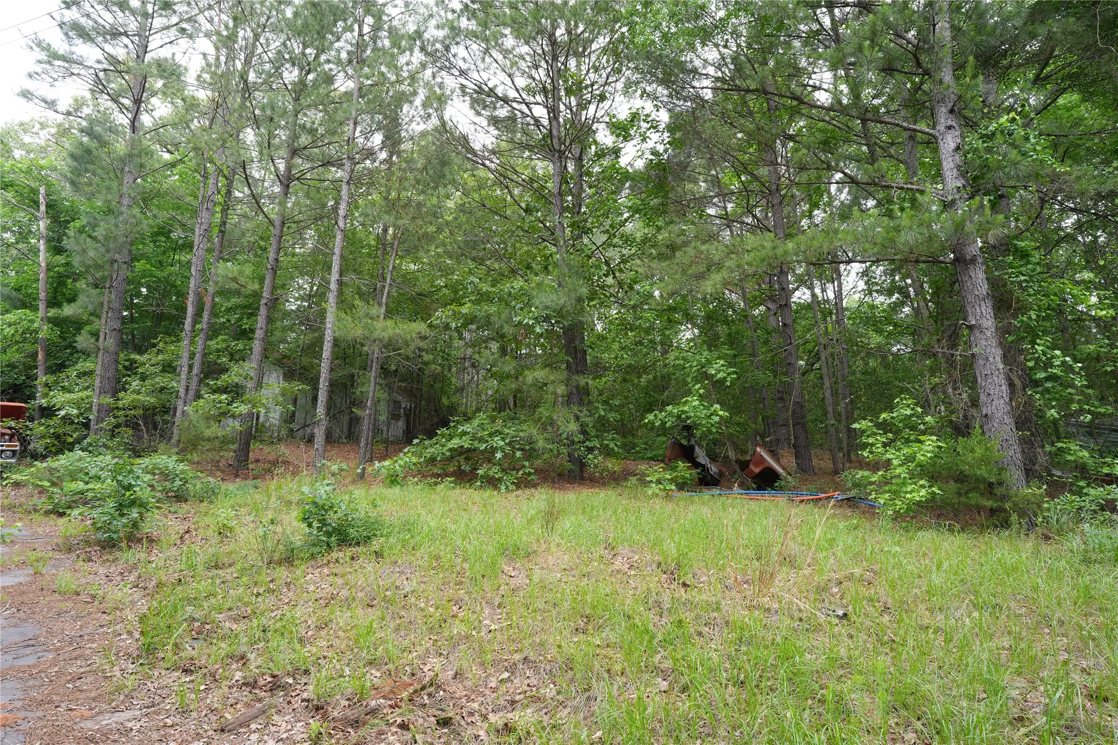 Improved Land For Sale in Wood County , 4754 Fm 1254, Mineola, Texas 75773, 0, 0, Garage spaces, 0 Sqft, built in 0, mls#21281384, Real Estate Agent in Mineola, Homes For Sale in Wood county, Homes For Sale in Mineola, Realtor in Mineola Texas, Real Estate Brokerage Independent Realty Texas, Luminita Cordes Realtor