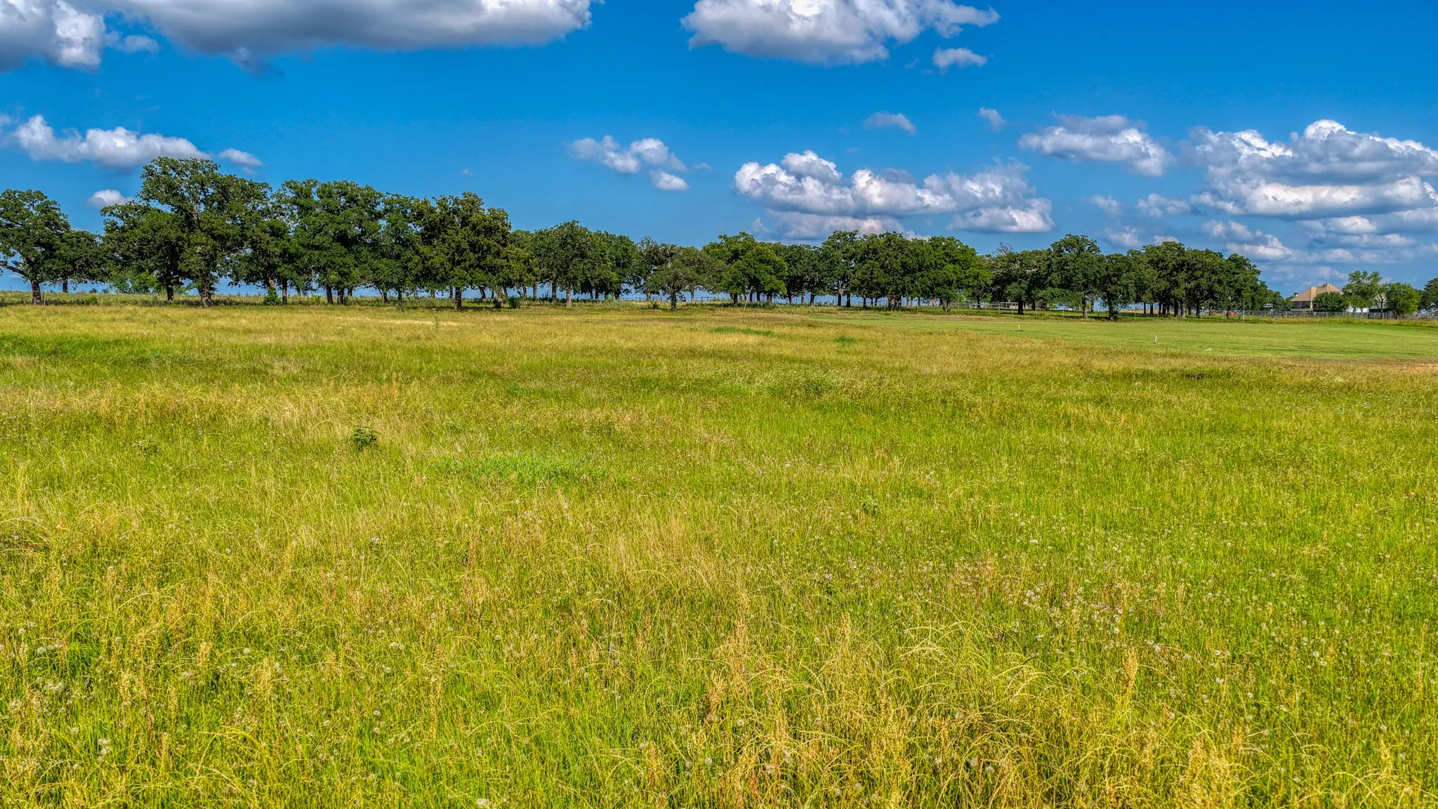 Unimproved Land For Sale in Parker County , 2013 swallowtail ct, Poolville, Texas 76487, 0, 0, Garage spaces, 0 Sqft, built in 0, mls#21281239, Real Estate Agent in Poolville, Homes For Sale in Parker county, Homes For Sale in Poolville, Realtor in Poolville Texas, Real Estate Brokerage Independent Realty Texas, Luminita Cordes Realtor