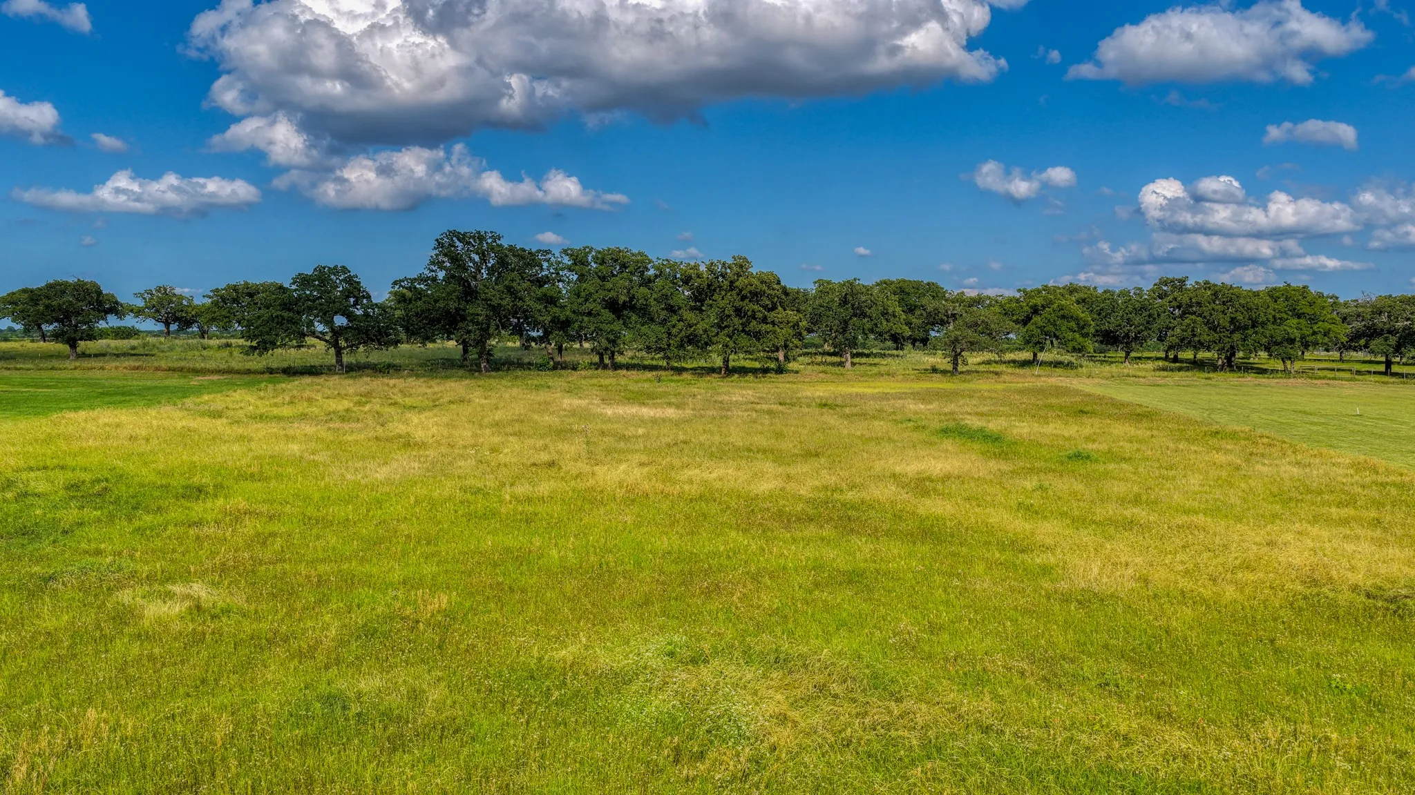 Unimproved Land For Sale in Parker County , 2013 swallowtail ct, Poolville, Texas 76487, 0, 0, Garage spaces, 0 Sqft, built in 0, mls#21281239, Real Estate Agent in Poolville, Homes For Sale in Parker county, Homes For Sale in Poolville, Realtor in Poolville Texas, Real Estate Brokerage Independent Realty Texas, Luminita Cordes Realtor