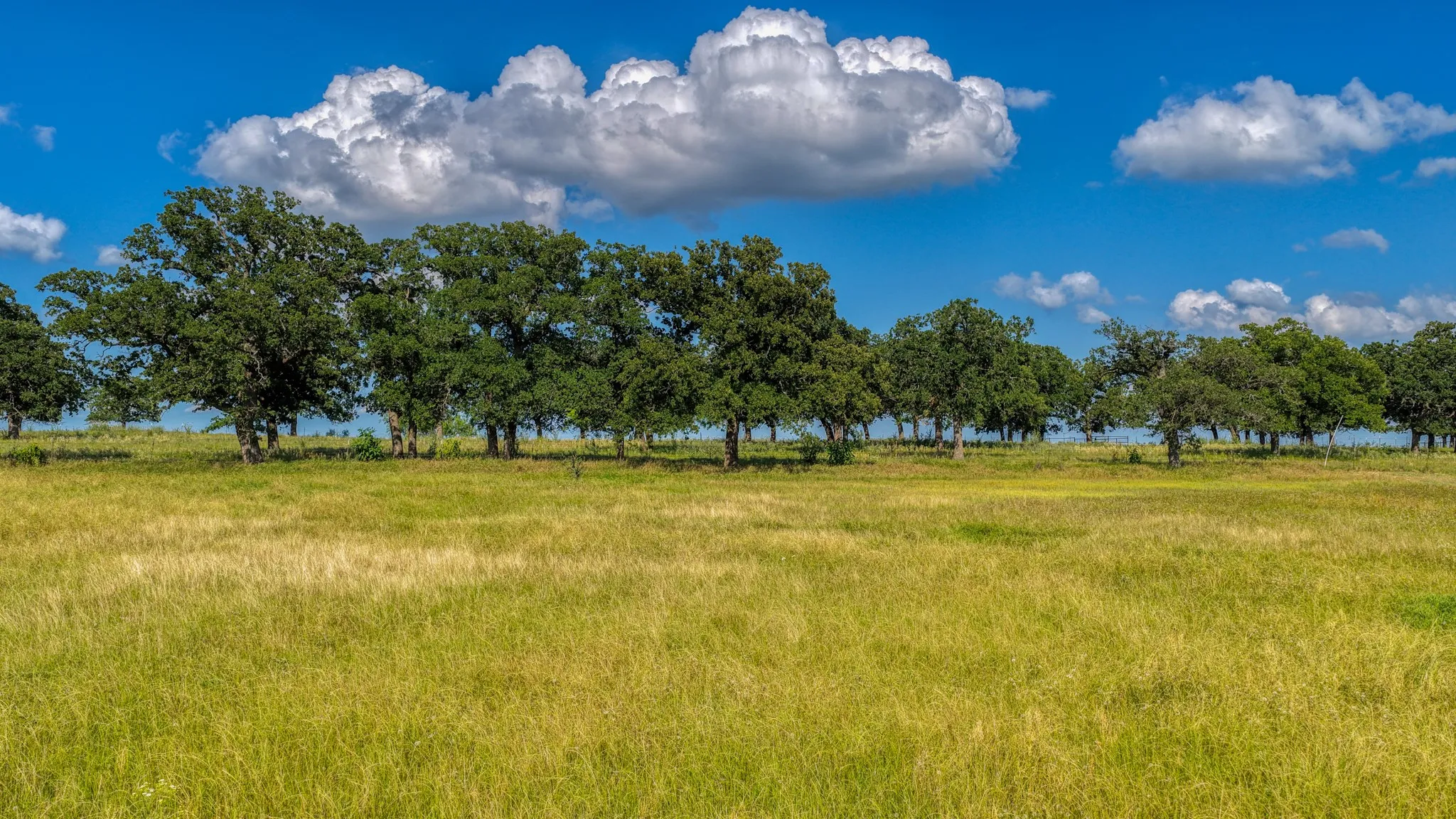 Unimproved Land For Sale in Parker County , 2013 swallowtail ct, Poolville, Texas 76487, 0, 0, Garage spaces, 0 Sqft, built in 0, mls#21281239, Real Estate Agent in Poolville, Homes For Sale in Parker county, Homes For Sale in Poolville, Realtor in Poolville Texas, Real Estate Brokerage Independent Realty Texas, Luminita Cordes Realtor