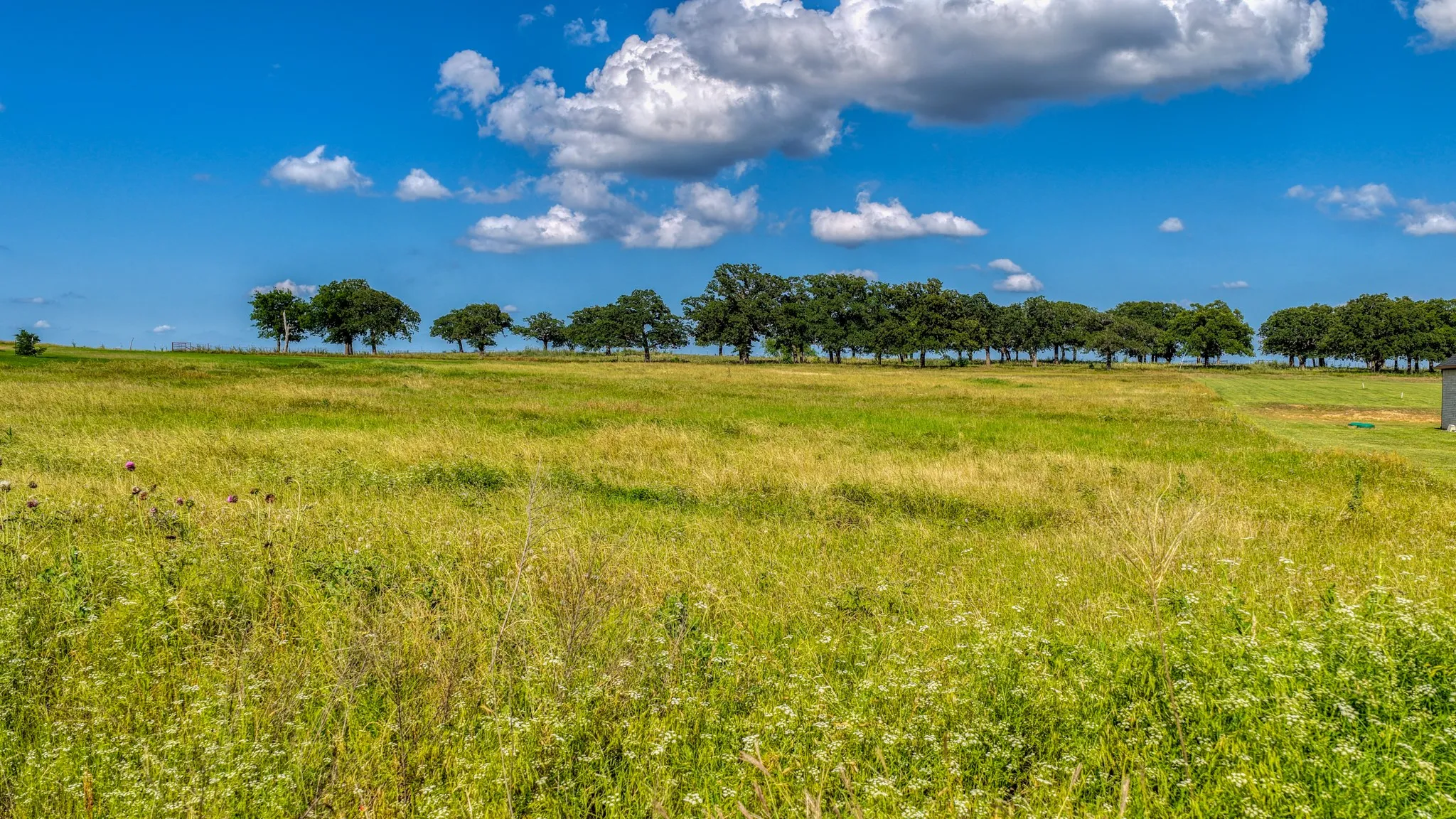 Unimproved Land For Sale in Parker County , 2013 swallowtail ct, Poolville, Texas 76487, 0, 0, Garage spaces, 0 Sqft, built in 0, mls#21281239, Real Estate Agent in Poolville, Homes For Sale in Parker county, Homes For Sale in Poolville, Realtor in Poolville Texas, Real Estate Brokerage Independent Realty Texas, Luminita Cordes Realtor