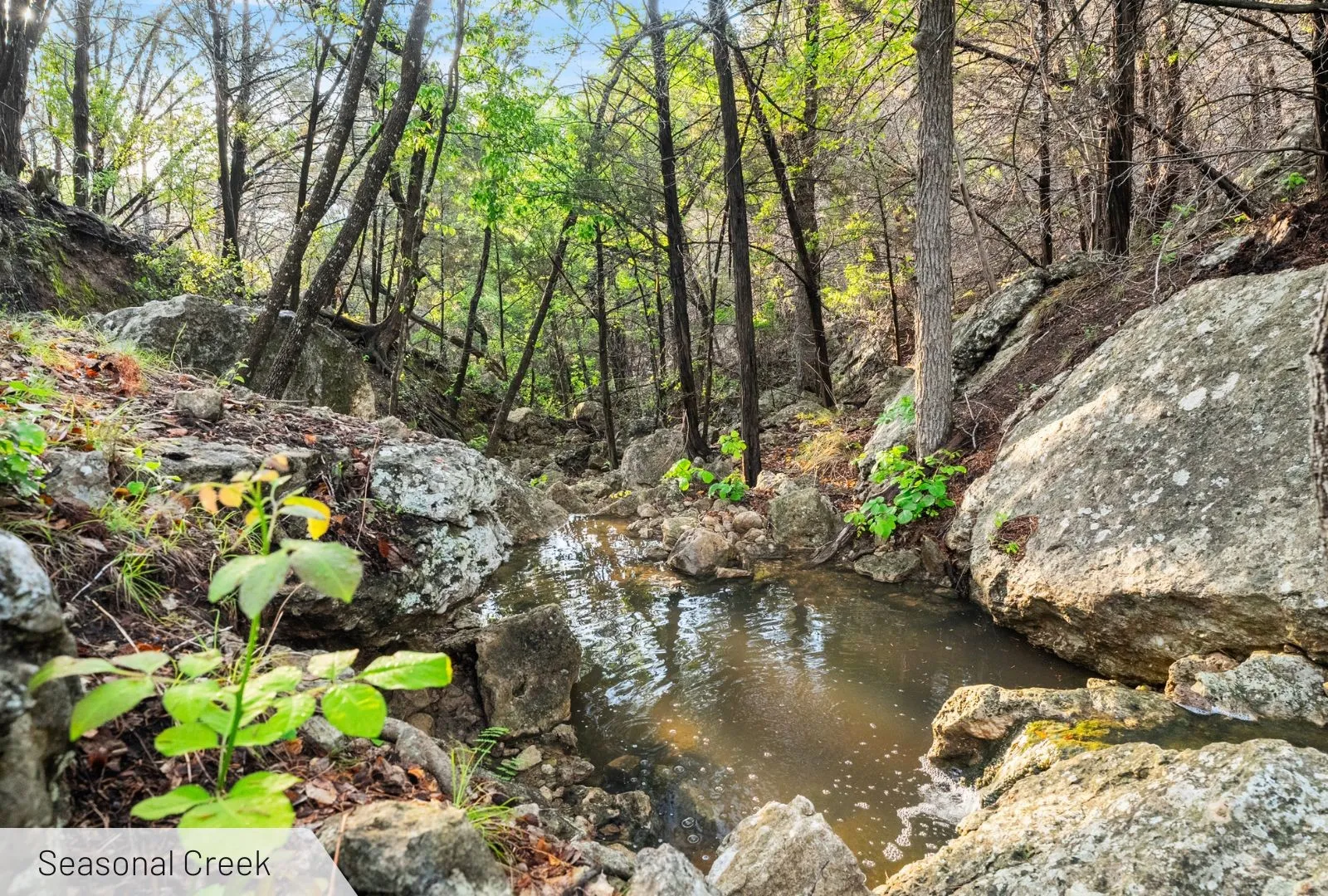 Unimproved Land For Sale in Burnet County , 525 Soda Creek Road, Spicewood, Texas 78669, 0, 0, Garage spaces, 0 Sqft, built in 0, Price $895,000, mls#21268558, Real Estate Agent in Spicewood, Homes For Sale in Burnet county, Homes For Sale in Spicewood, Realtor in Spicewood Texas, Real Estate Brokerage Independent Realty Texas, Luminita Cordes Realtor