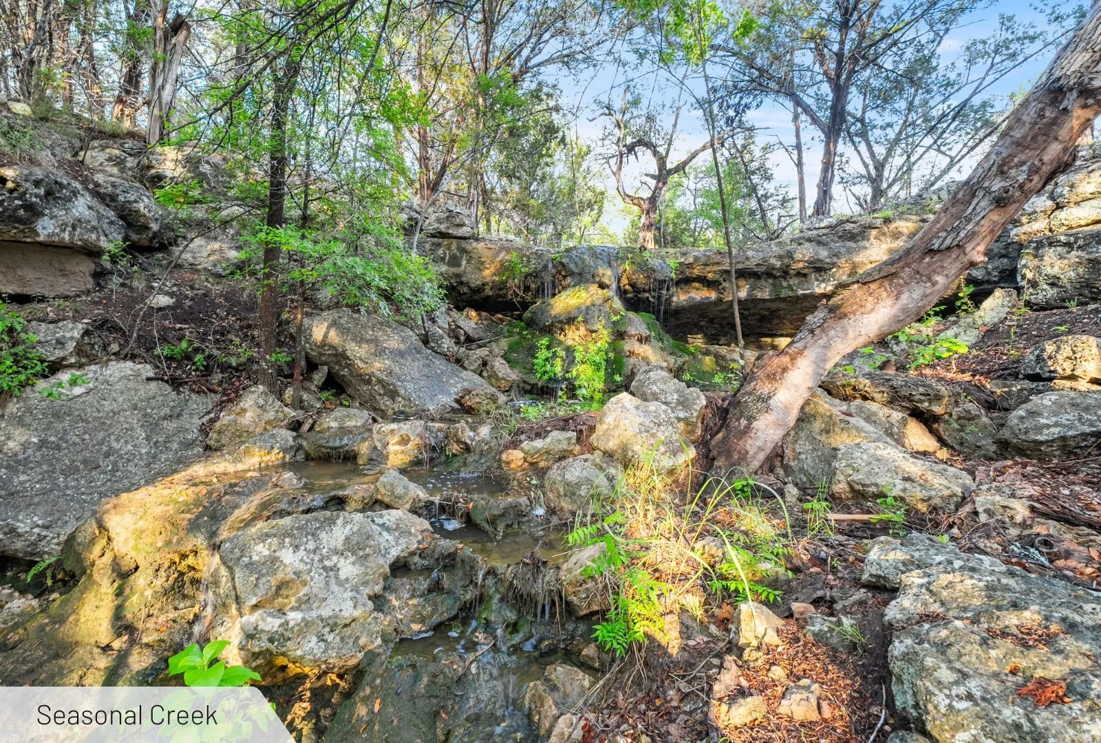 Unimproved Land For Sale in Burnet County , 525 Soda Creek Road, Spicewood, Texas 78669, 0, 0, Garage spaces, 0 Sqft, built in 0, Price $895,000, mls#21268558, Real Estate Agent in Spicewood, Homes For Sale in Burnet county, Homes For Sale in Spicewood, Realtor in Spicewood Texas, Real Estate Brokerage Independent Realty Texas, Luminita Cordes Realtor