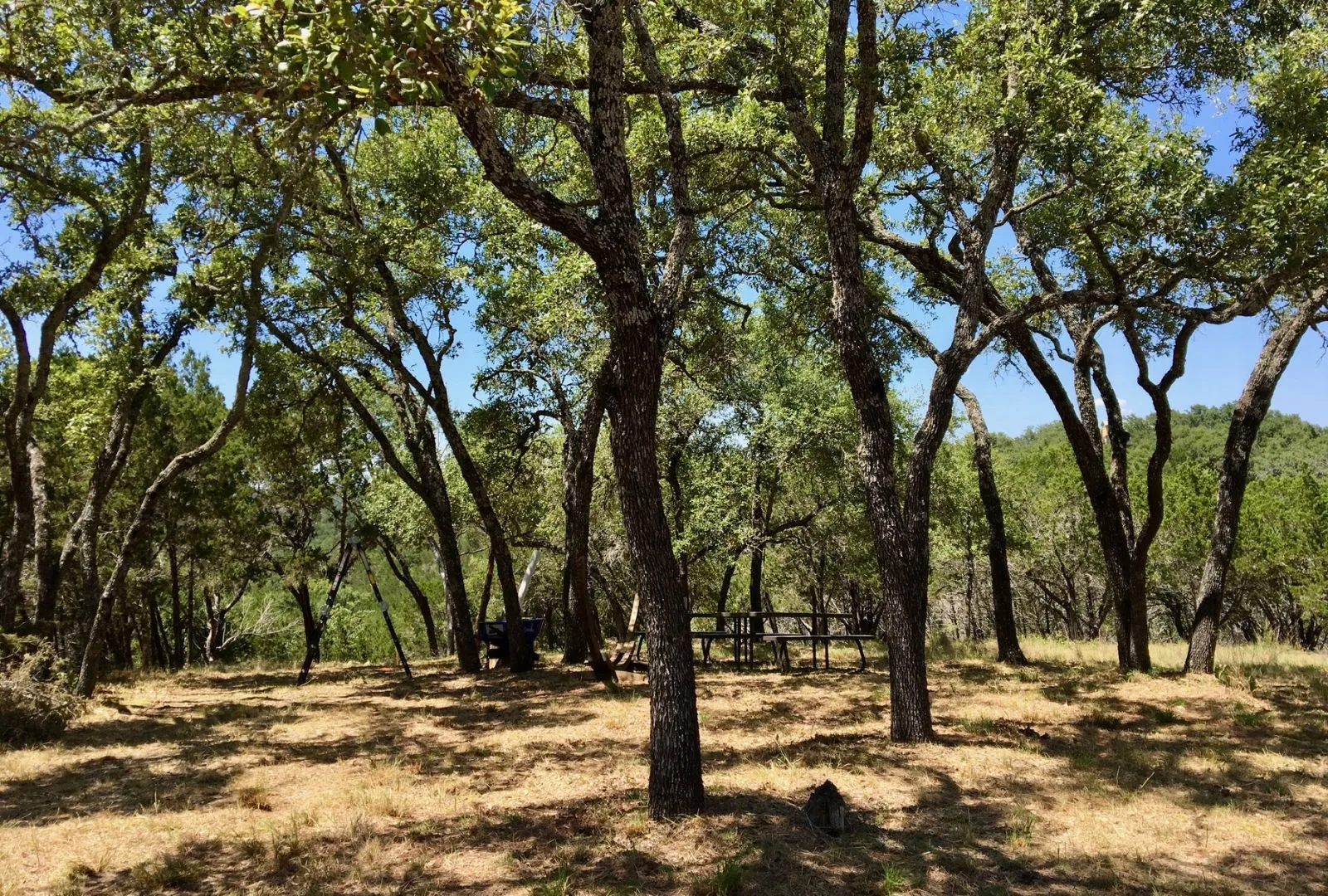 Unimproved Land For Sale in Burnet County , 525 Soda Creek Road, Spicewood, Texas 78669, 0, 0, Garage spaces, 0 Sqft, built in 0, Price $895,000, mls#21268558, Real Estate Agent in Spicewood, Homes For Sale in Burnet county, Homes For Sale in Spicewood, Realtor in Spicewood Texas, Real Estate Brokerage Independent Realty Texas, Luminita Cordes Realtor