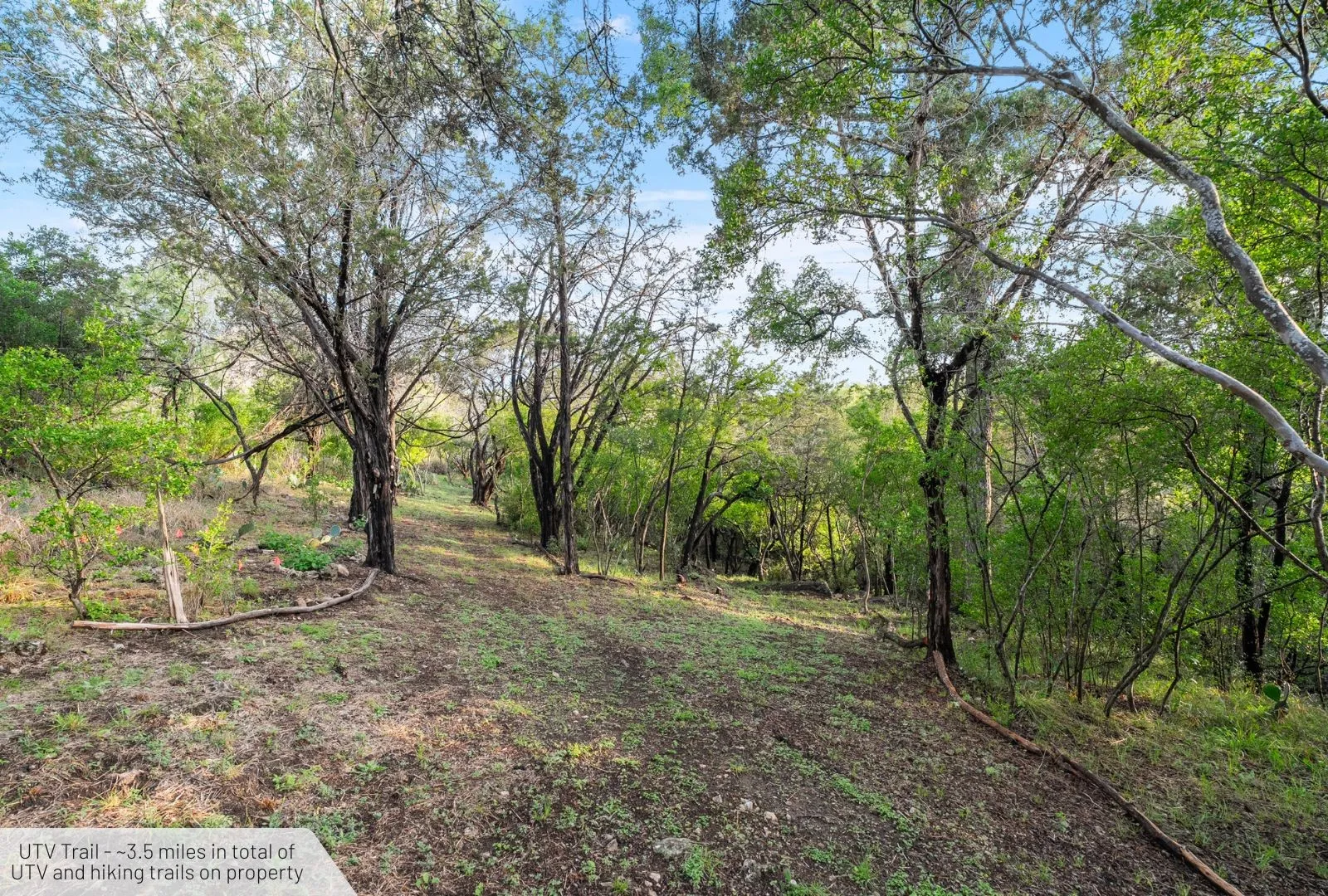 Unimproved Land For Sale in Burnet County , 525 Soda Creek Road, Spicewood, Texas 78669, 0, 0, Garage spaces, 0 Sqft, built in 0, Price $895,000, mls#21268558, Real Estate Agent in Spicewood, Homes For Sale in Burnet county, Homes For Sale in Spicewood, Realtor in Spicewood Texas, Real Estate Brokerage Independent Realty Texas, Luminita Cordes Realtor