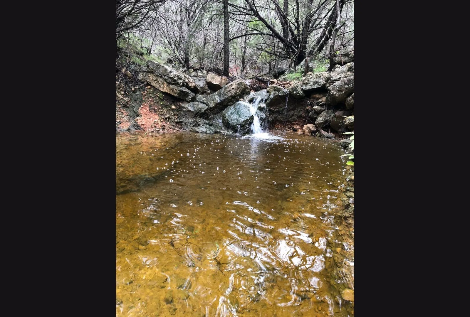 Unimproved Land For Sale in Burnet County , 525 Soda Creek Road, Spicewood, Texas 78669, 0, 0, Garage spaces, 0 Sqft, built in 0, Price $895,000, mls#21268558, Real Estate Agent in Spicewood, Homes For Sale in Burnet county, Homes For Sale in Spicewood, Realtor in Spicewood Texas, Real Estate Brokerage Independent Realty Texas, Luminita Cordes Realtor
