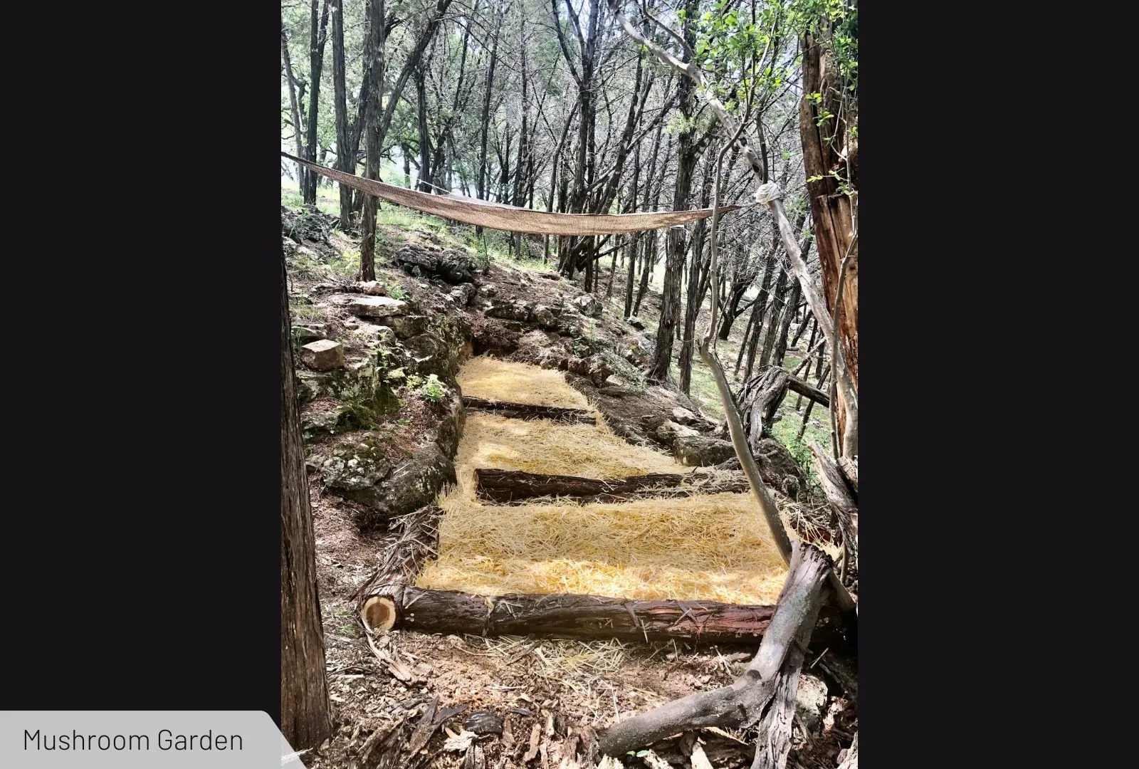 Unimproved Land For Sale in Burnet County , 525 Soda Creek Road, Spicewood, Texas 78669, 0, 0, Garage spaces, 0 Sqft, built in 0, Price $895,000, mls#21268558, Real Estate Agent in Spicewood, Homes For Sale in Burnet county, Homes For Sale in Spicewood, Realtor in Spicewood Texas, Real Estate Brokerage Independent Realty Texas, Luminita Cordes Realtor