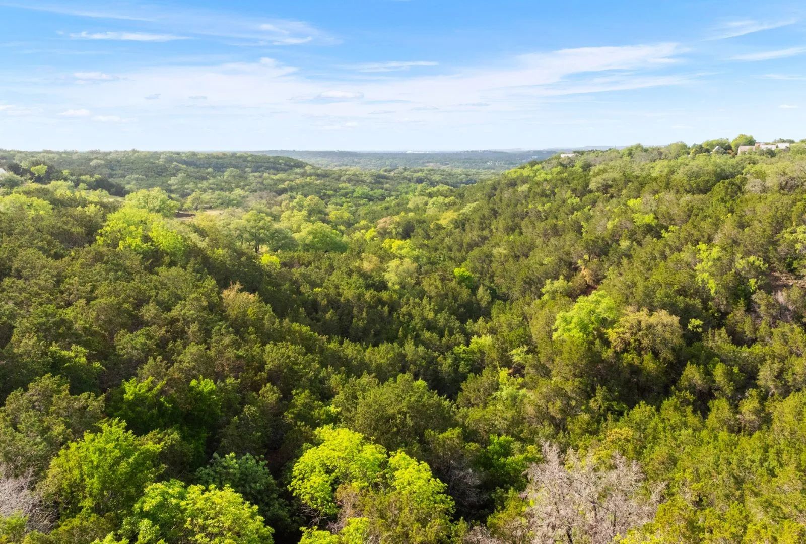 Unimproved Land For Sale in Burnet County , 525 Soda Creek Road, Spicewood, Texas 78669, 0, 0, Garage spaces, 0 Sqft, built in 0, Price $895,000, mls#21268558, Real Estate Agent in Spicewood, Homes For Sale in Burnet county, Homes For Sale in Spicewood, Realtor in Spicewood Texas, Real Estate Brokerage Independent Realty Texas, Luminita Cordes Realtor