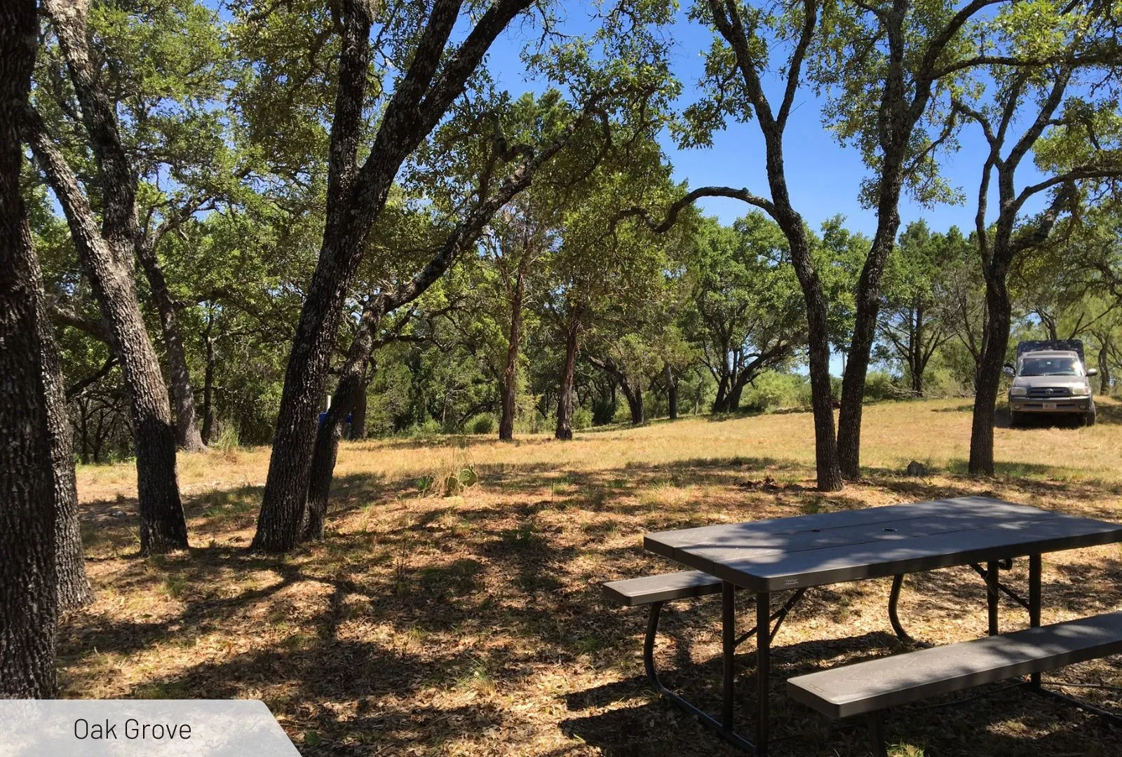 Unimproved Land For Sale in Burnet County , 525 Soda Creek Road, Spicewood, Texas 78669, 0, 0, Garage spaces, 0 Sqft, built in 0, Price $895,000, mls#21268558, Real Estate Agent in Spicewood, Homes For Sale in Burnet county, Homes For Sale in Spicewood, Realtor in Spicewood Texas, Real Estate Brokerage Independent Realty Texas, Luminita Cordes Realtor