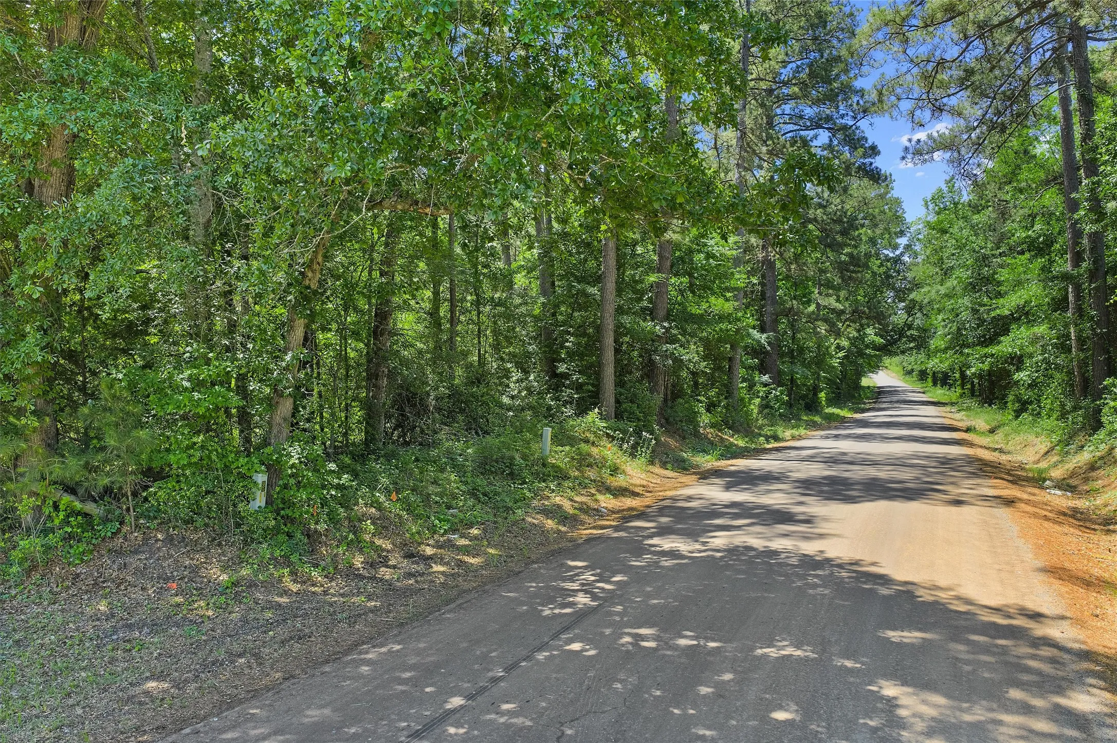 Unimproved Land For Sale in Panola County , TBD County Road 3361, De Berry, Texas 75639, 0, 0, Garage spaces, 0 Sqft, built in 0, Price $451,000, mls#21251784, Real Estate Agent in De Berry, Homes For Sale in Panola county, Homes For Sale in De Berry, Realtor in De Berry Texas, Real Estate Brokerage Independent Realty Texas, Luminita Cordes Realtor