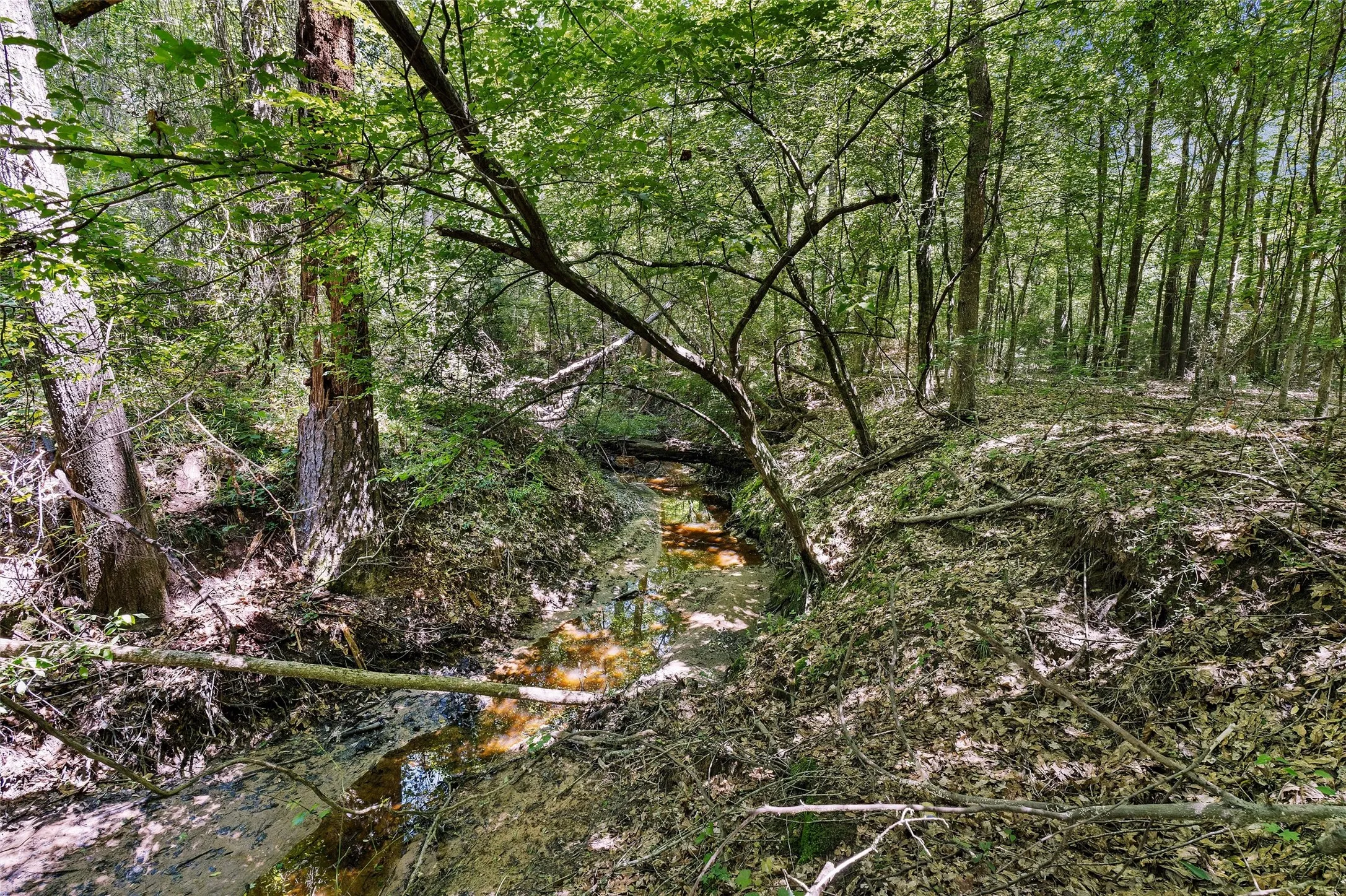 Unimproved Land For Sale in Panola County , TBD County Road 3361, De Berry, Texas 75639, 0, 0, Garage spaces, 0 Sqft, built in 0, Price $451,000, mls#21251784, Real Estate Agent in De Berry, Homes For Sale in Panola county, Homes For Sale in De Berry, Realtor in De Berry Texas, Real Estate Brokerage Independent Realty Texas, Luminita Cordes Realtor