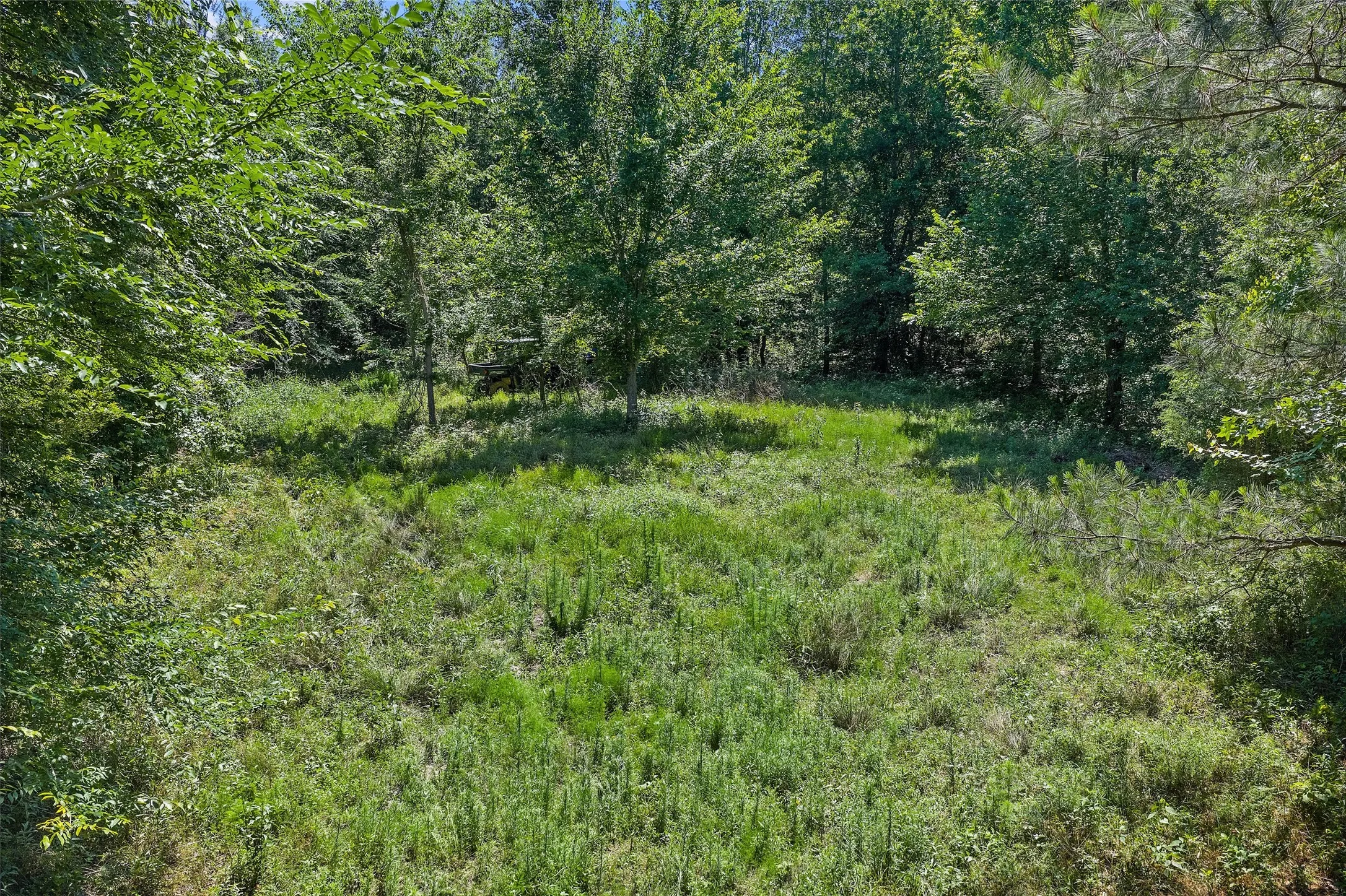 Unimproved Land For Sale in Panola County , TBD County Road 3361, De Berry, Texas 75639, 0, 0, Garage spaces, 0 Sqft, built in 0, Price $451,000, mls#21251784, Real Estate Agent in De Berry, Homes For Sale in Panola county, Homes For Sale in De Berry, Realtor in De Berry Texas, Real Estate Brokerage Independent Realty Texas, Luminita Cordes Realtor