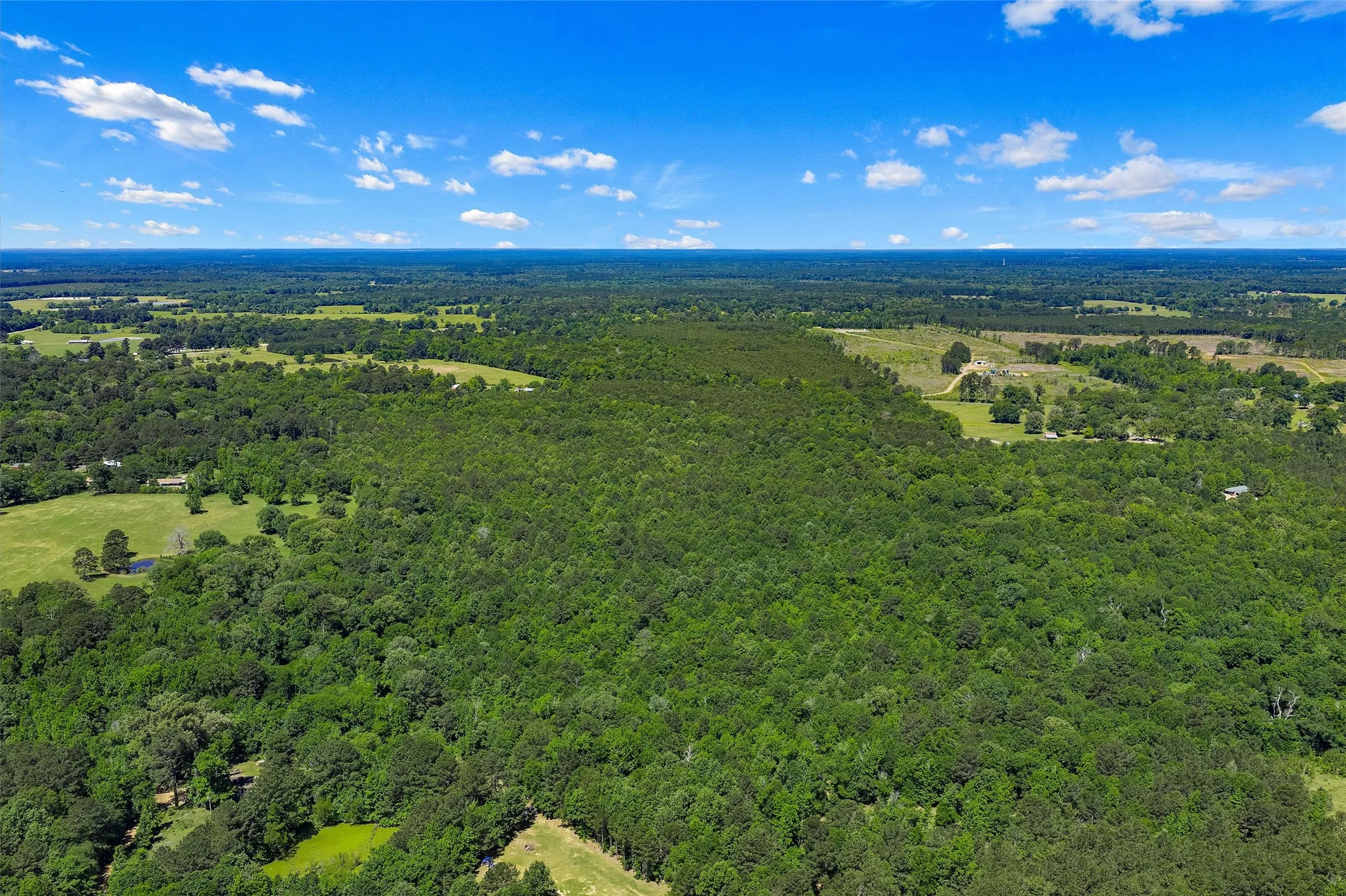 Unimproved Land For Sale in Panola County , TBD County Road 3361, De Berry, Texas 75639, 0, 0, Garage spaces, 0 Sqft, built in 0, Price $451,000, mls#21251784, Real Estate Agent in De Berry, Homes For Sale in Panola county, Homes For Sale in De Berry, Realtor in De Berry Texas, Real Estate Brokerage Independent Realty Texas, Luminita Cordes Realtor