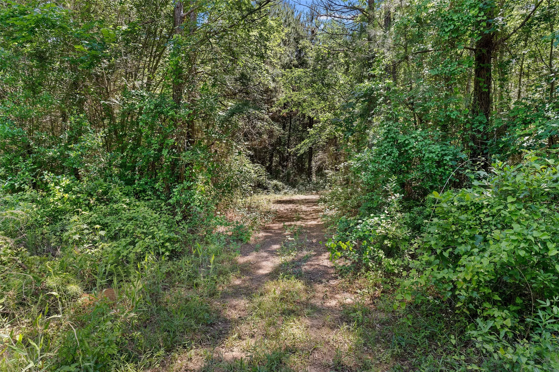 Unimproved Land For Sale in Panola County , TBD County Road 3361, De Berry, Texas 75639, 0, 0, Garage spaces, 0 Sqft, built in 0, Price $451,000, mls#21251784, Real Estate Agent in De Berry, Homes For Sale in Panola county, Homes For Sale in De Berry, Realtor in De Berry Texas, Real Estate Brokerage Independent Realty Texas, Luminita Cordes Realtor