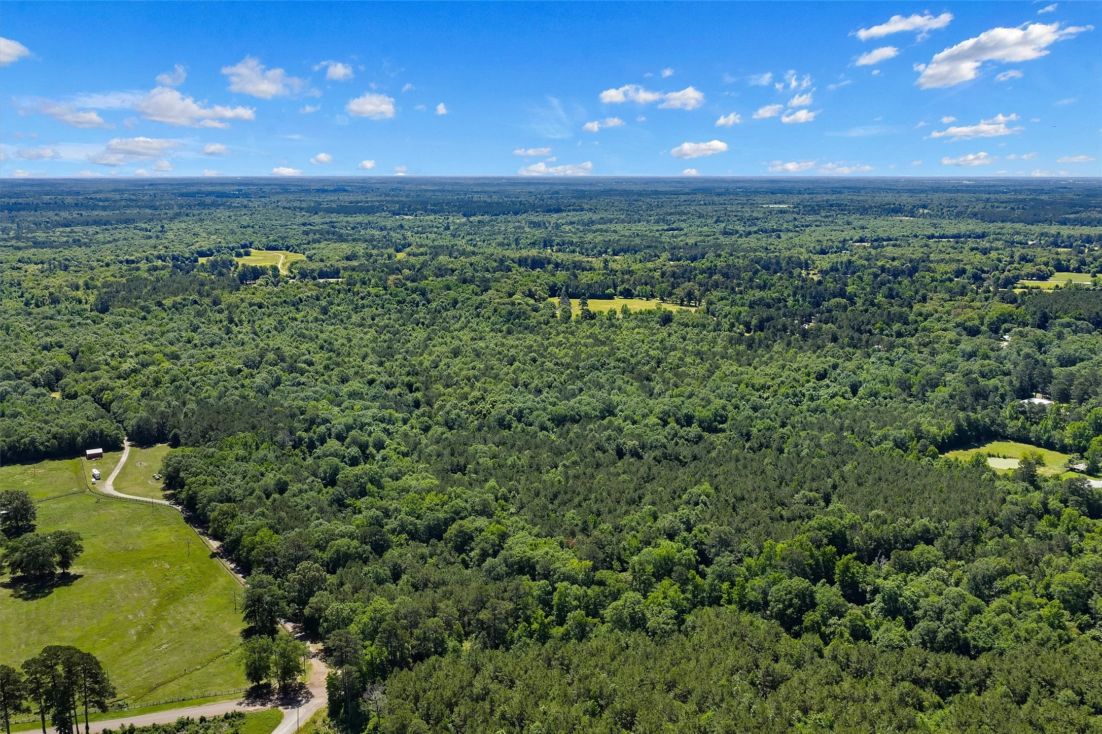 Unimproved Land For Sale in Panola County , TBD County Road 3361, De Berry, Texas 75639, 0, 0, Garage spaces, 0 Sqft, built in 0, Price $451,000, mls#21251784, Real Estate Agent in De Berry, Homes For Sale in Panola county, Homes For Sale in De Berry, Realtor in De Berry Texas, Real Estate Brokerage Independent Realty Texas, Luminita Cordes Realtor