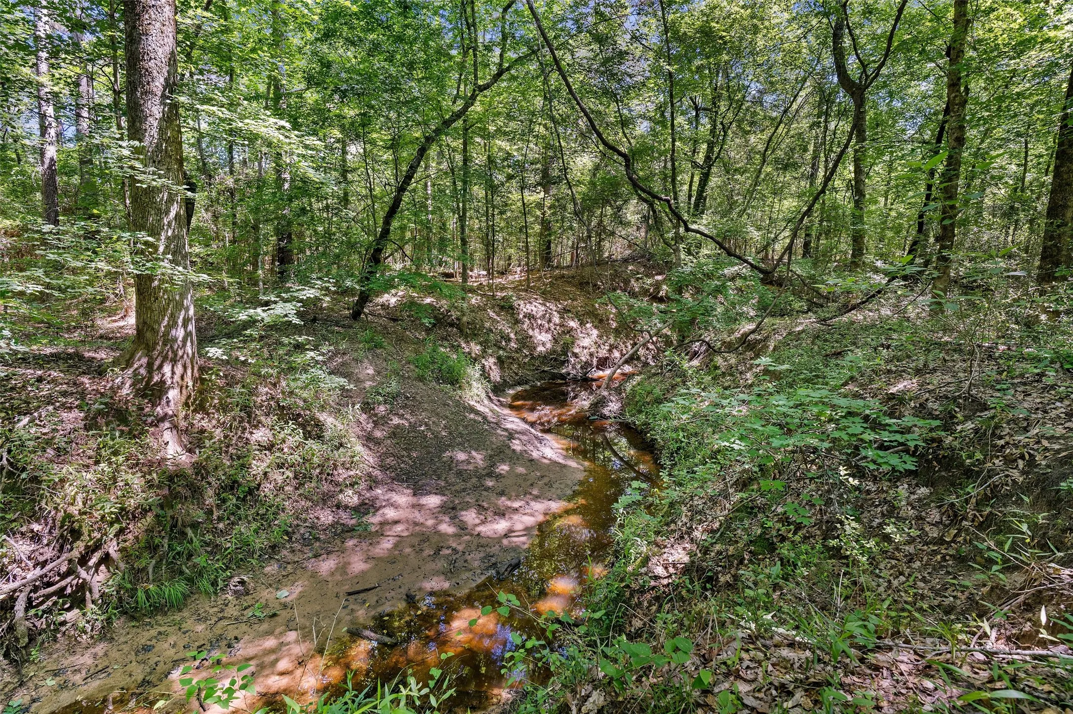 Unimproved Land For Sale in Panola County , TBD County Road 3361, De Berry, Texas 75639, 0, 0, Garage spaces, 0 Sqft, built in 0, Price $451,000, mls#21251784, Real Estate Agent in De Berry, Homes For Sale in Panola county, Homes For Sale in De Berry, Realtor in De Berry Texas, Real Estate Brokerage Independent Realty Texas, Luminita Cordes Realtor