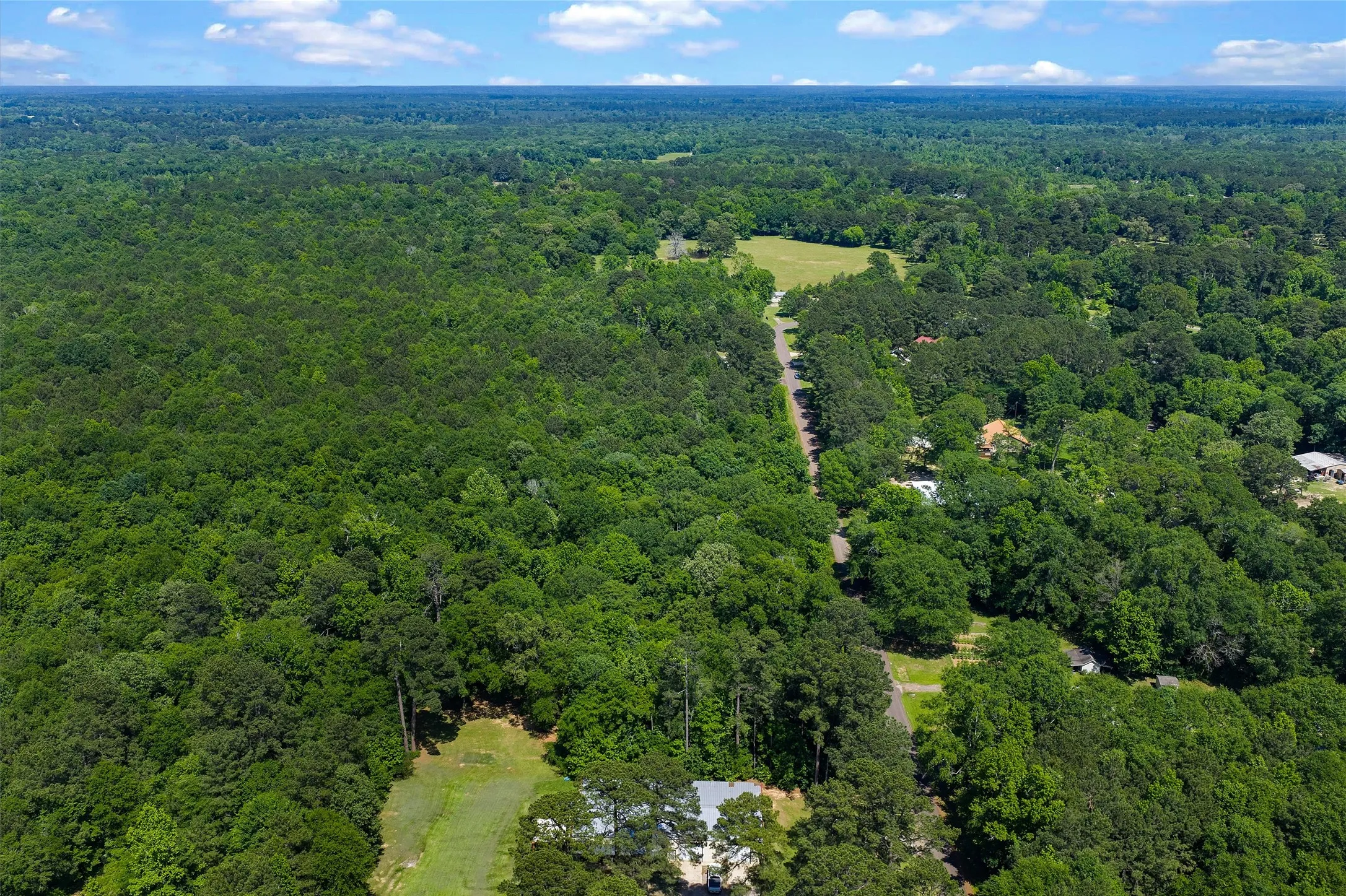 Unimproved Land For Sale in Panola County , TBD County Road 3361, De Berry, Texas 75639, 0, 0, Garage spaces, 0 Sqft, built in 0, Price $451,000, mls#21251784, Real Estate Agent in De Berry, Homes For Sale in Panola county, Homes For Sale in De Berry, Realtor in De Berry Texas, Real Estate Brokerage Independent Realty Texas, Luminita Cordes Realtor