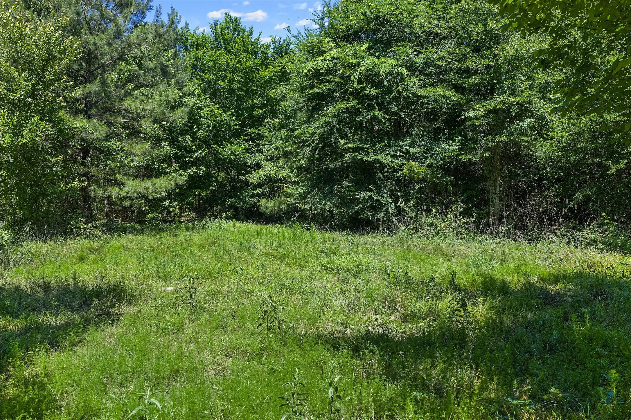 Unimproved Land For Sale in Panola County , TBD County Road 3361, De Berry, Texas 75639, 0, 0, Garage spaces, 0 Sqft, built in 0, Price $451,000, mls#21251784, Real Estate Agent in De Berry, Homes For Sale in Panola county, Homes For Sale in De Berry, Realtor in De Berry Texas, Real Estate Brokerage Independent Realty Texas, Luminita Cordes Realtor