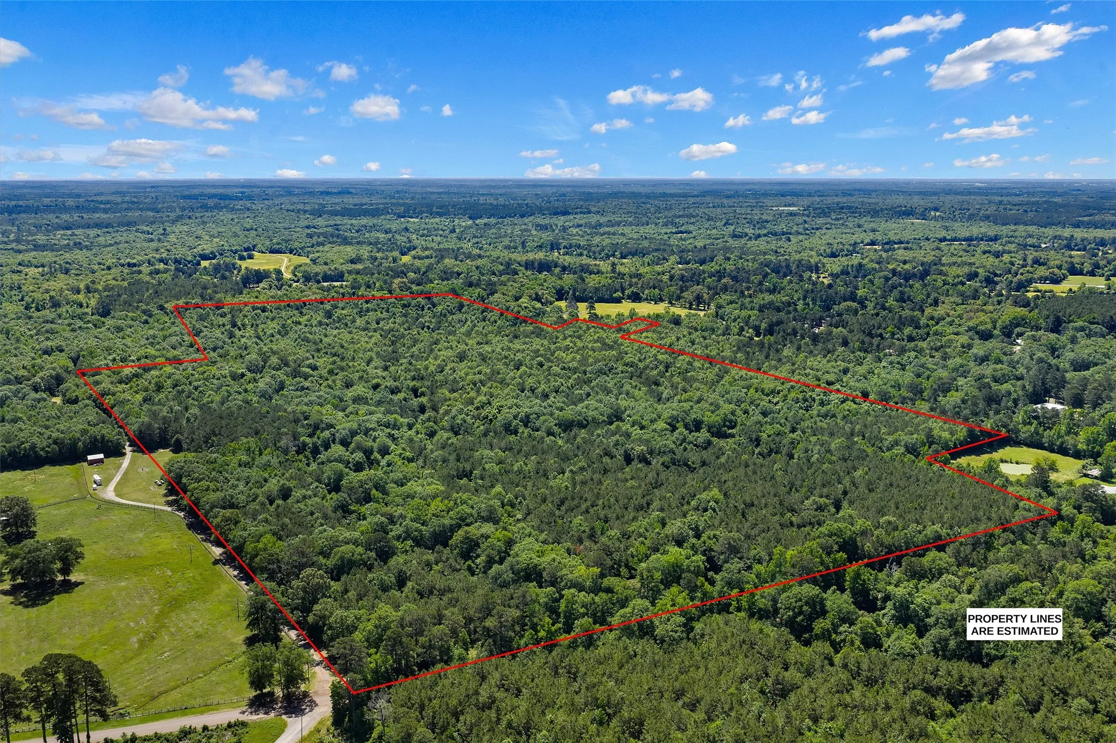 Unimproved Land For Sale in Panola County , TBD County Road 3361, De Berry, Texas 75639, 0, 0, Garage spaces, 0 Sqft, built in 0, Price $451,000, mls#21251784, Real Estate Agent in De Berry, Homes For Sale in Panola county, Homes For Sale in De Berry, Realtor in De Berry Texas, Real Estate Brokerage Independent Realty Texas, Luminita Cordes Realtor