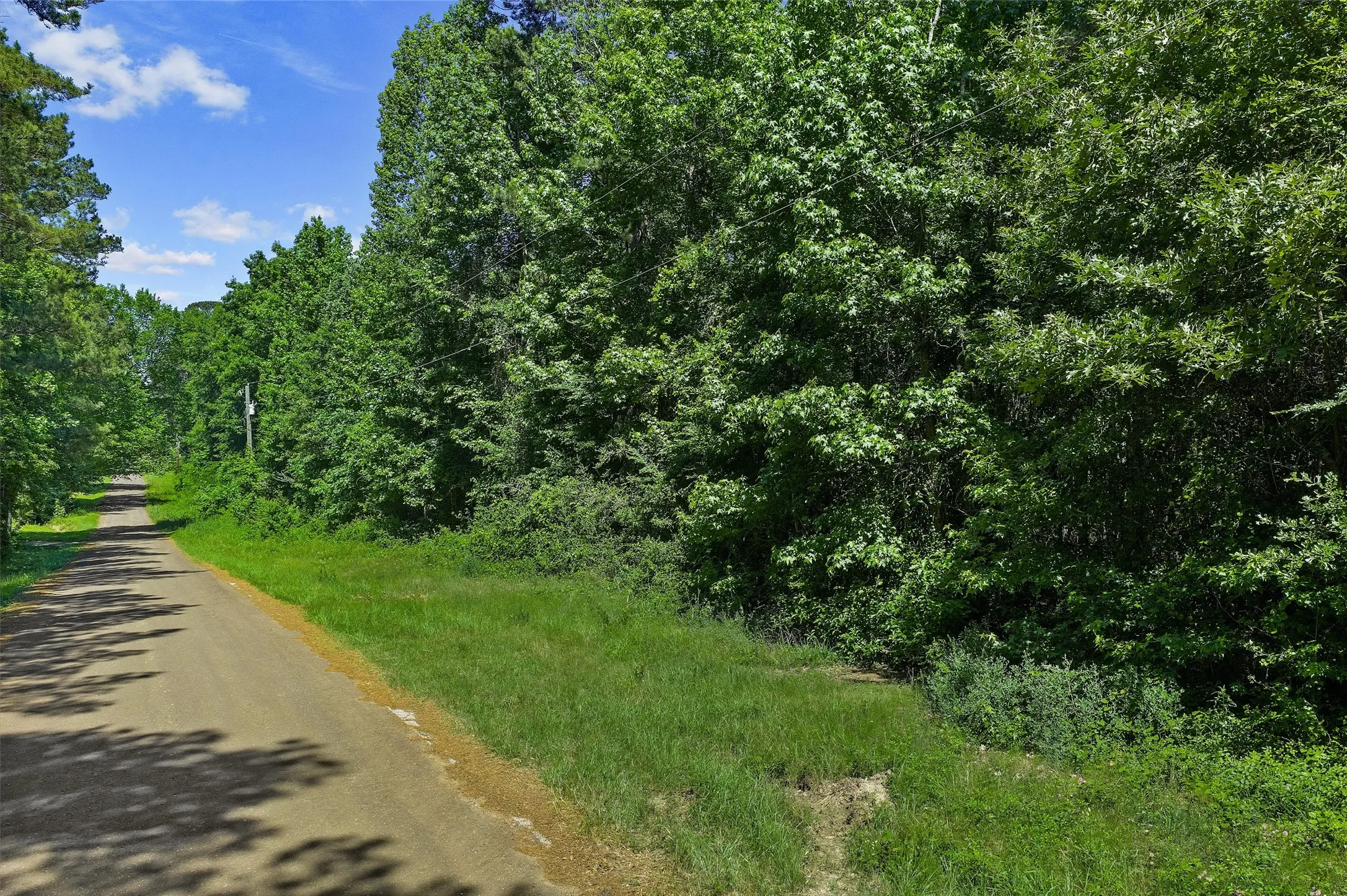 Unimproved Land For Sale in Panola County , TBD County Road 3361, De Berry, Texas 75639, 0, 0, Garage spaces, 0 Sqft, built in 0, Price $451,000, mls#21251784, Real Estate Agent in De Berry, Homes For Sale in Panola county, Homes For Sale in De Berry, Realtor in De Berry Texas, Real Estate Brokerage Independent Realty Texas, Luminita Cordes Realtor