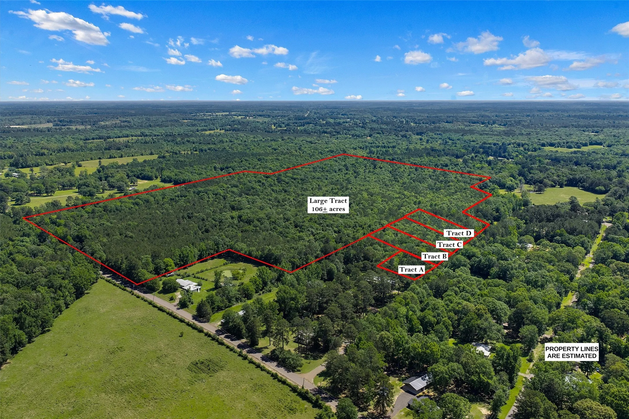 Unimproved Land For Sale in Panola County , TBD County Road 3361, De Berry, Texas 75639, 0, 0, Garage spaces, 0 Sqft, built in 0, Price $451,000, mls#21251784, Real Estate Agent in De Berry, Homes For Sale in Panola county, Homes For Sale in De Berry, Realtor in De Berry Texas, Real Estate Brokerage Independent Realty Texas, Luminita Cordes Realtor