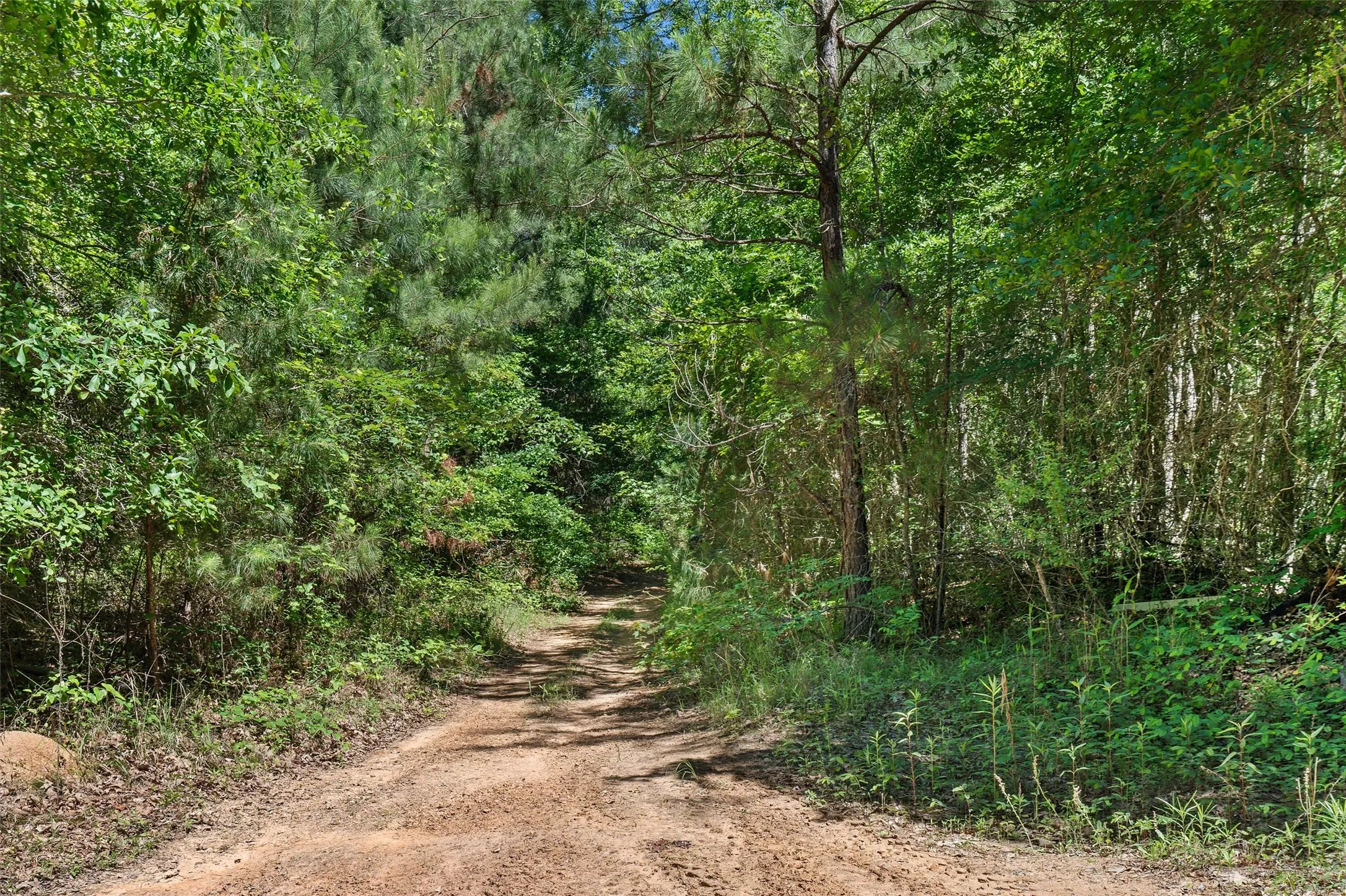 Unimproved Land For Sale in Panola County , TBD County Road 3361, De Berry, Texas 75639, 0, 0, Garage spaces, 0 Sqft, built in 0, Price $451,000, mls#21251784, Real Estate Agent in De Berry, Homes For Sale in Panola county, Homes For Sale in De Berry, Realtor in De Berry Texas, Real Estate Brokerage Independent Realty Texas, Luminita Cordes Realtor