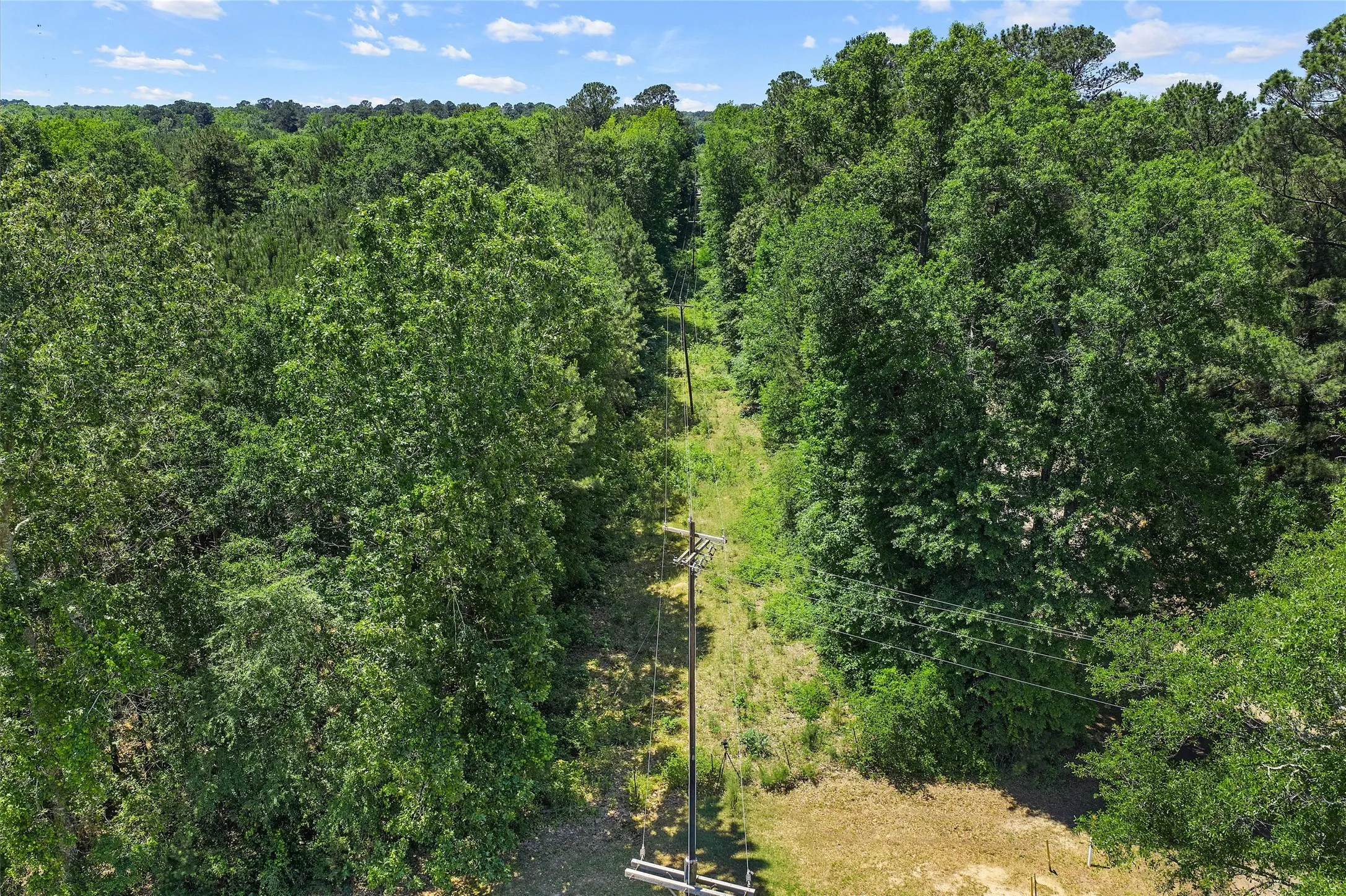 Unimproved Land For Sale in Panola County , TBD County Road 3361, De Berry, Texas 75639, 0, 0, Garage spaces, 0 Sqft, built in 0, Price $451,000, mls#21251784, Real Estate Agent in De Berry, Homes For Sale in Panola county, Homes For Sale in De Berry, Realtor in De Berry Texas, Real Estate Brokerage Independent Realty Texas, Luminita Cordes Realtor