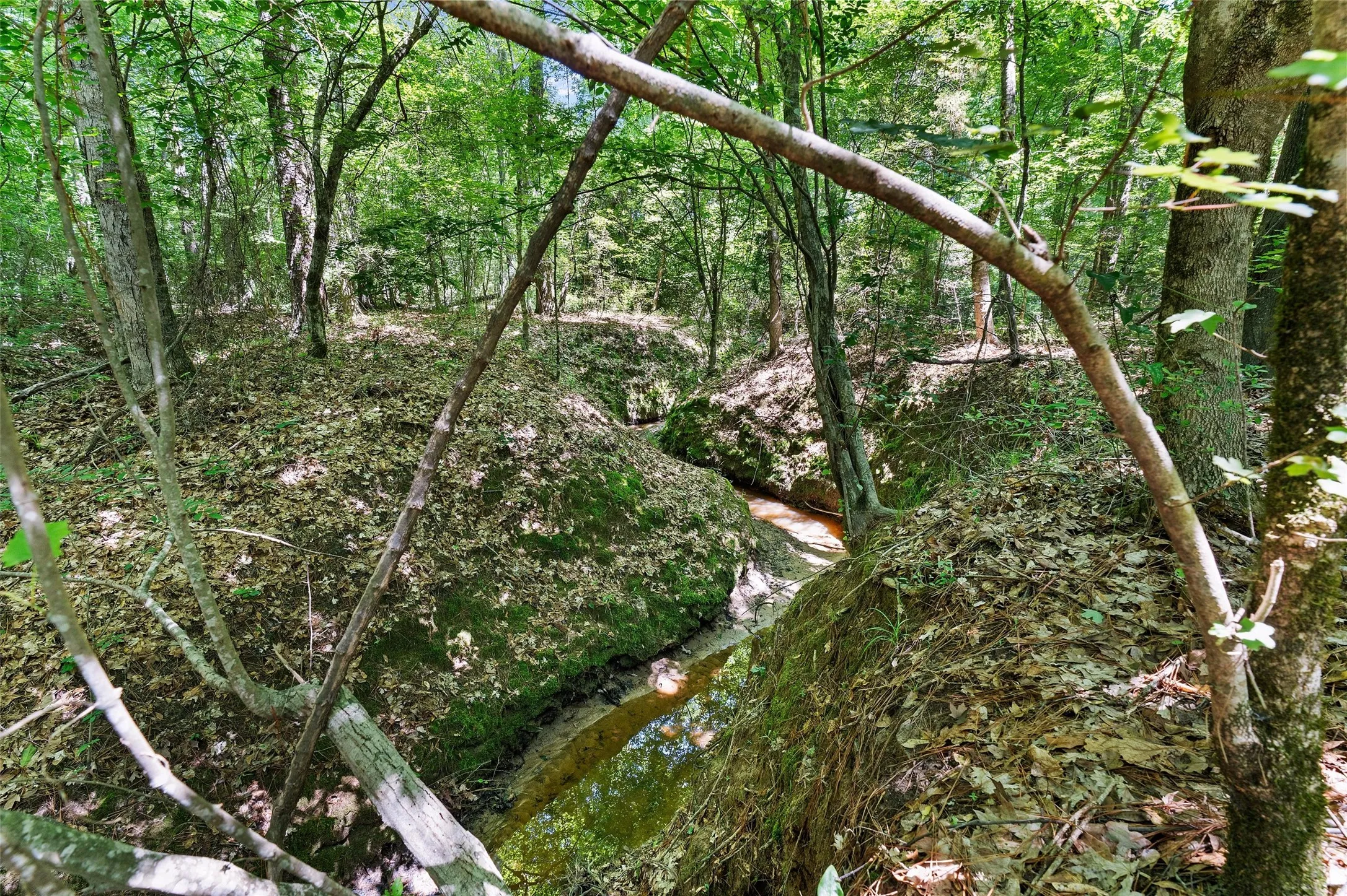 Unimproved Land For Sale in Panola County , TBD County Road 3361, De Berry, Texas 75639, 0, 0, Garage spaces, 0 Sqft, built in 0, Price $451,000, mls#21251784, Real Estate Agent in De Berry, Homes For Sale in Panola county, Homes For Sale in De Berry, Realtor in De Berry Texas, Real Estate Brokerage Independent Realty Texas, Luminita Cordes Realtor