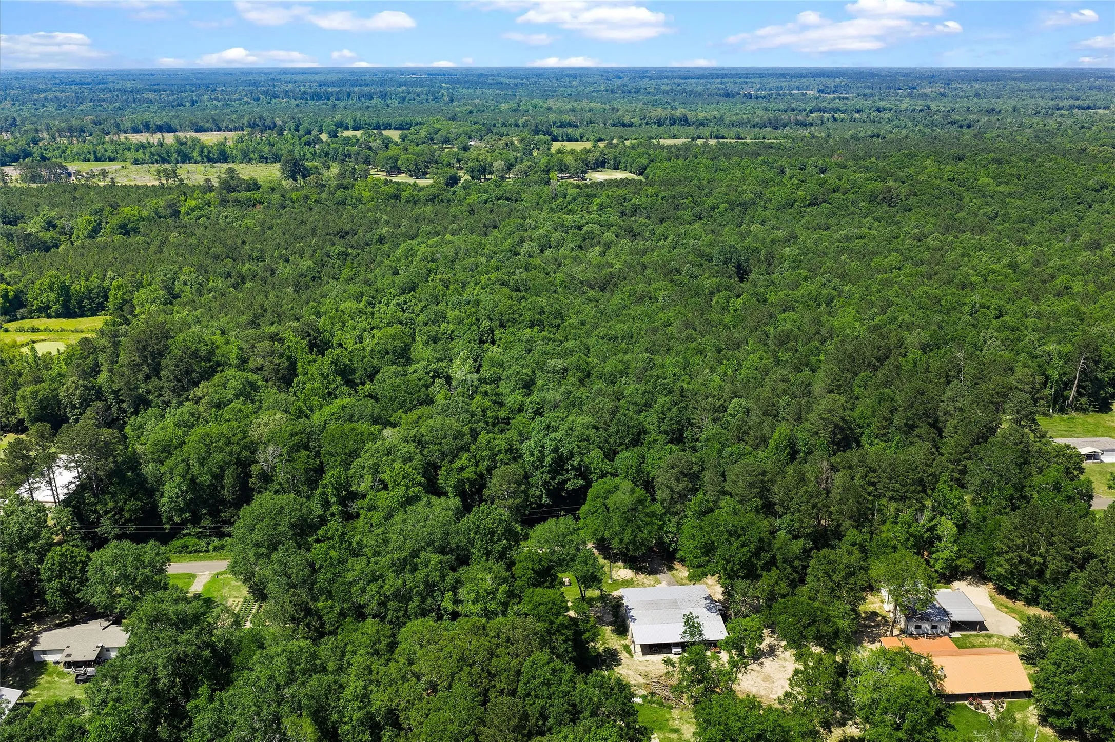 Unimproved Land For Sale in Panola County , TBD County Road 3361, De Berry, Texas 75639, 0, 0, Garage spaces, 0 Sqft, built in 0, Price $451,000, mls#21251784, Real Estate Agent in De Berry, Homes For Sale in Panola county, Homes For Sale in De Berry, Realtor in De Berry Texas, Real Estate Brokerage Independent Realty Texas, Luminita Cordes Realtor