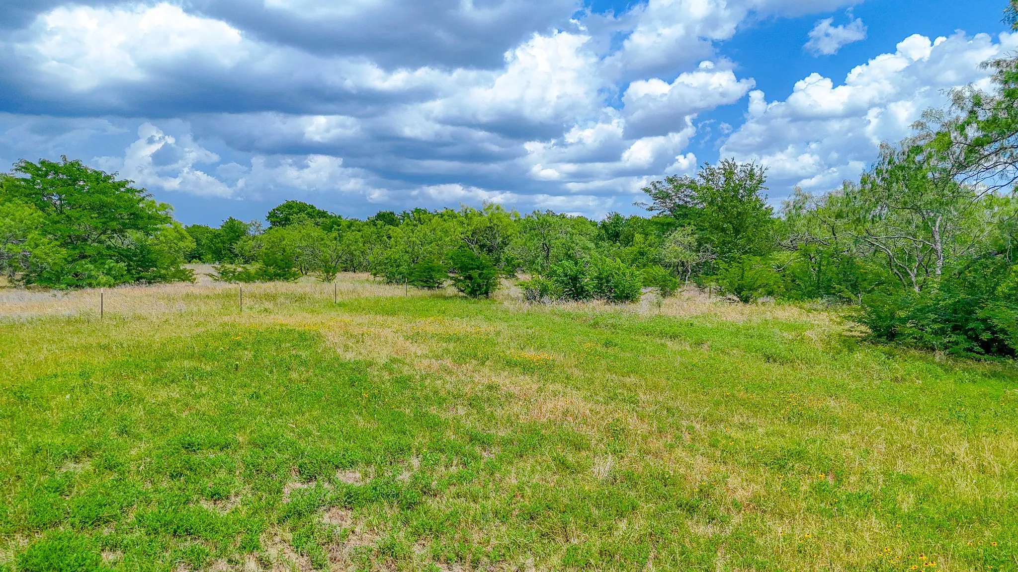 Unimproved Land For Sale in Navarro County , Lot 123 Palmito Ranch Road, Corsicana, Texas 75110, 0, 0, Garage spaces, 0 Sqft, built in 0, mls#21281501, Real Estate Agent in Corsicana, Homes For Sale in Navarro county, Homes For Sale in Corsicana, Realtor in Corsicana Texas, Real Estate Brokerage Independent Realty Texas, Luminita Cordes Realtor