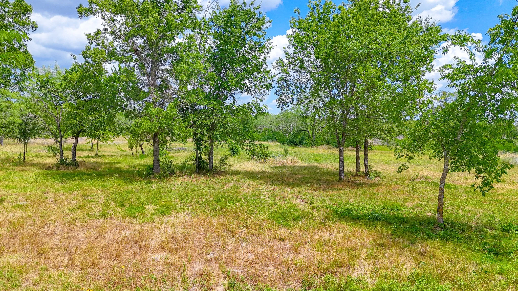 Unimproved Land For Sale in Navarro County , Lot 123 Palmito Ranch Road, Corsicana, Texas 75110, 0, 0, Garage spaces, 0 Sqft, built in 0, mls#21281501, Real Estate Agent in Corsicana, Homes For Sale in Navarro county, Homes For Sale in Corsicana, Realtor in Corsicana Texas, Real Estate Brokerage Independent Realty Texas, Luminita Cordes Realtor
