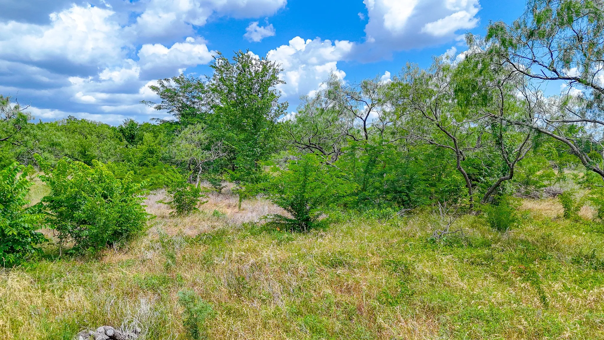 Unimproved Land For Sale in Navarro County , Lot 123 Palmito Ranch Road, Corsicana, Texas 75110, 0, 0, Garage spaces, 0 Sqft, built in 0, mls#21281501, Real Estate Agent in Corsicana, Homes For Sale in Navarro county, Homes For Sale in Corsicana, Realtor in Corsicana Texas, Real Estate Brokerage Independent Realty Texas, Luminita Cordes Realtor