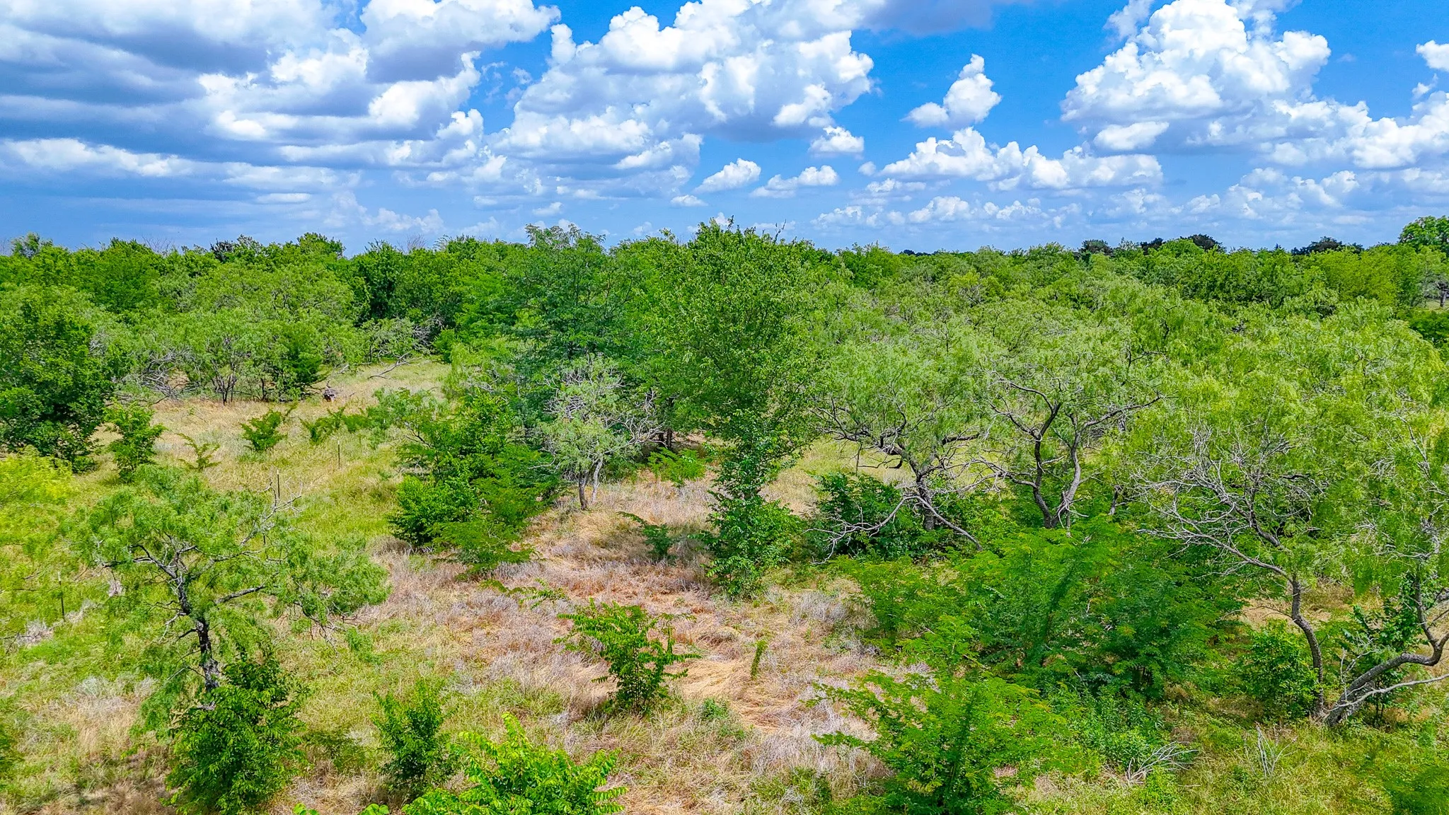 Unimproved Land For Sale in Navarro County , Lot 123 Palmito Ranch Road, Corsicana, Texas 75110, 0, 0, Garage spaces, 0 Sqft, built in 0, mls#21281501, Real Estate Agent in Corsicana, Homes For Sale in Navarro county, Homes For Sale in Corsicana, Realtor in Corsicana Texas, Real Estate Brokerage Independent Realty Texas, Luminita Cordes Realtor