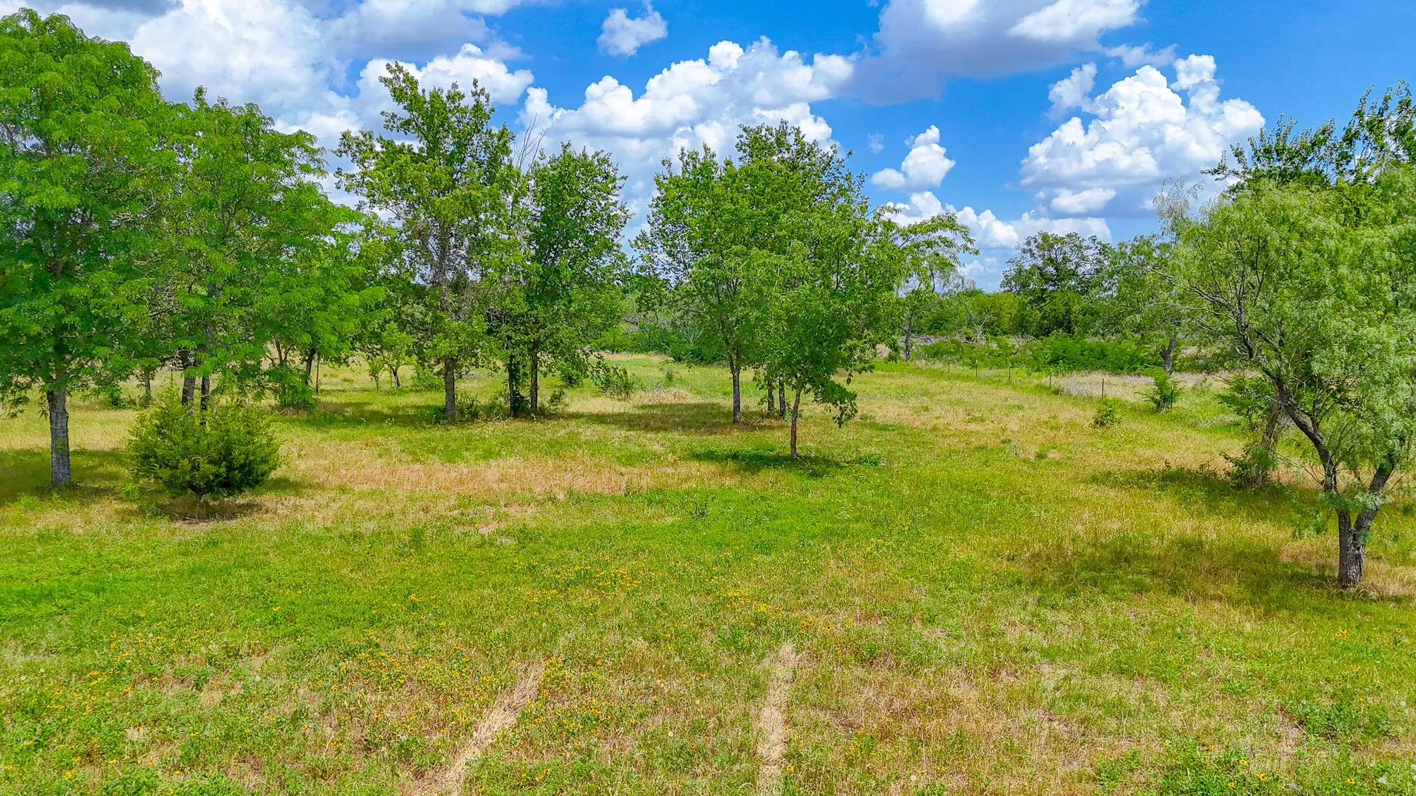 Unimproved Land For Sale in Navarro County , Lot 123 Palmito Ranch Road, Corsicana, Texas 75110, 0, 0, Garage spaces, 0 Sqft, built in 0, mls#21281501, Real Estate Agent in Corsicana, Homes For Sale in Navarro county, Homes For Sale in Corsicana, Realtor in Corsicana Texas, Real Estate Brokerage Independent Realty Texas, Luminita Cordes Realtor