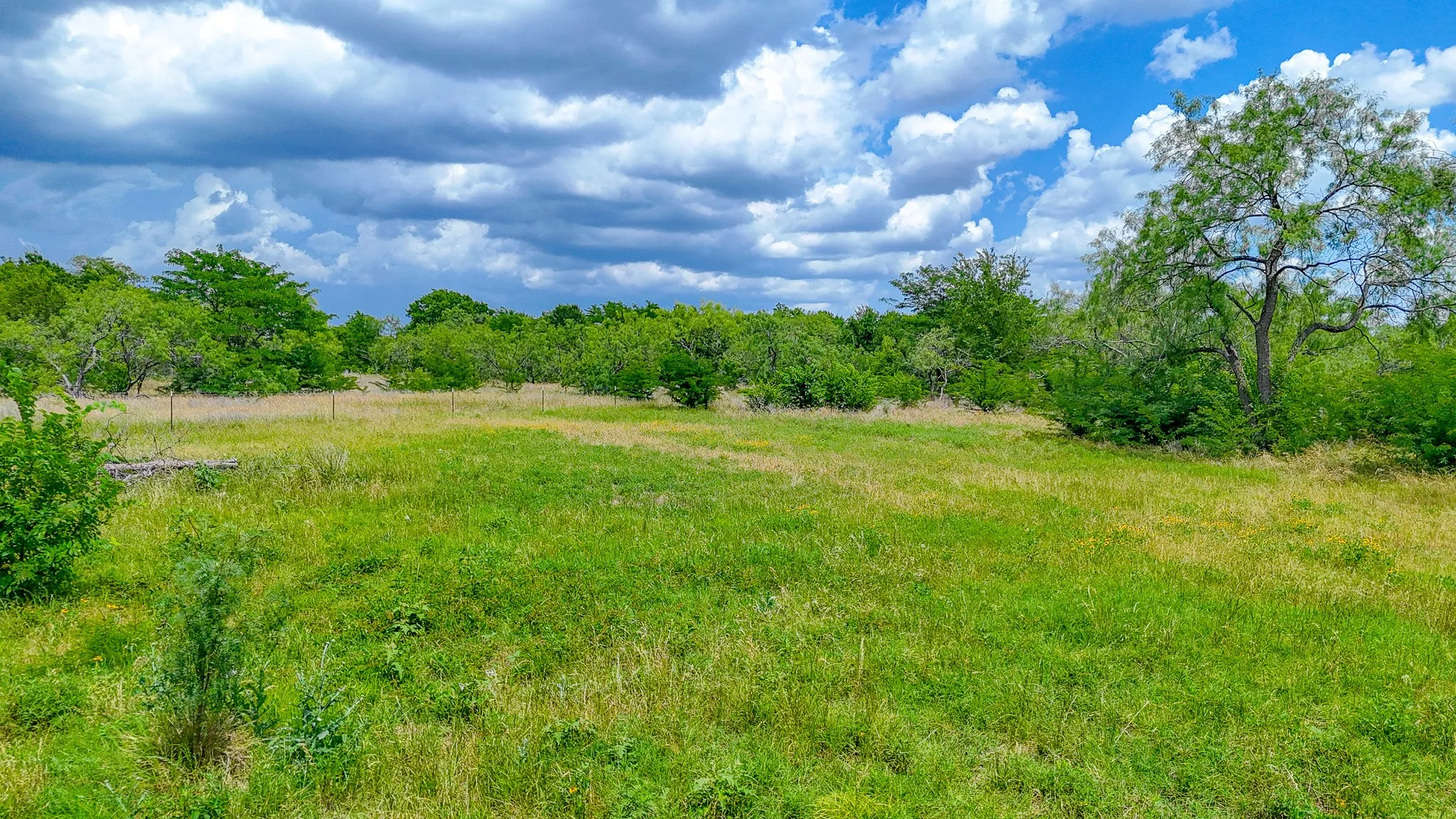 Unimproved Land For Sale in Navarro County , Lot 123 Palmito Ranch Road, Corsicana, Texas 75110, 0, 0, Garage spaces, 0 Sqft, built in 0, mls#21281501, Real Estate Agent in Corsicana, Homes For Sale in Navarro county, Homes For Sale in Corsicana, Realtor in Corsicana Texas, Real Estate Brokerage Independent Realty Texas, Luminita Cordes Realtor