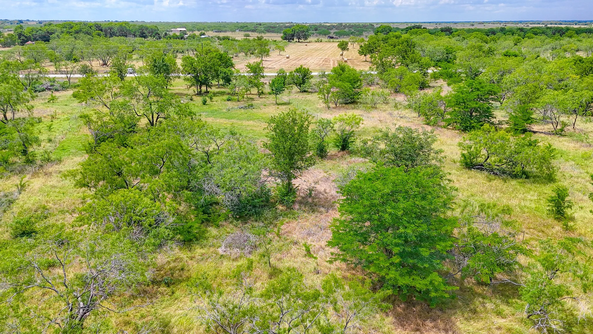 Unimproved Land For Sale in Navarro County , Lot 123 Palmito Ranch Road, Corsicana, Texas 75110, 0, 0, Garage spaces, 0 Sqft, built in 0, mls#21281501, Real Estate Agent in Corsicana, Homes For Sale in Navarro county, Homes For Sale in Corsicana, Realtor in Corsicana Texas, Real Estate Brokerage Independent Realty Texas, Luminita Cordes Realtor
