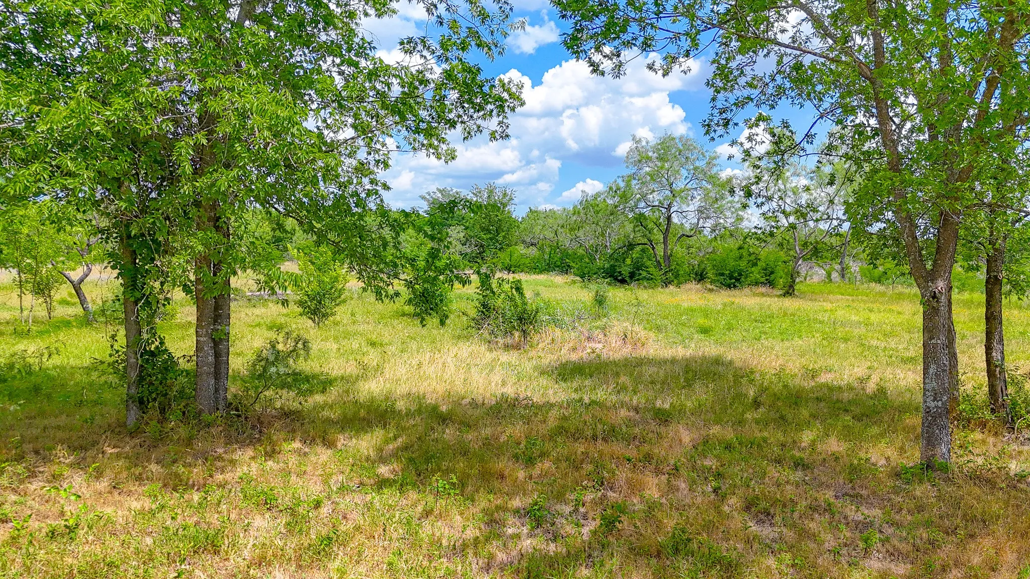 Unimproved Land For Sale in Navarro County , Lot 123 Palmito Ranch Road, Corsicana, Texas 75110, 0, 0, Garage spaces, 0 Sqft, built in 0, mls#21281501, Real Estate Agent in Corsicana, Homes For Sale in Navarro county, Homes For Sale in Corsicana, Realtor in Corsicana Texas, Real Estate Brokerage Independent Realty Texas, Luminita Cordes Realtor